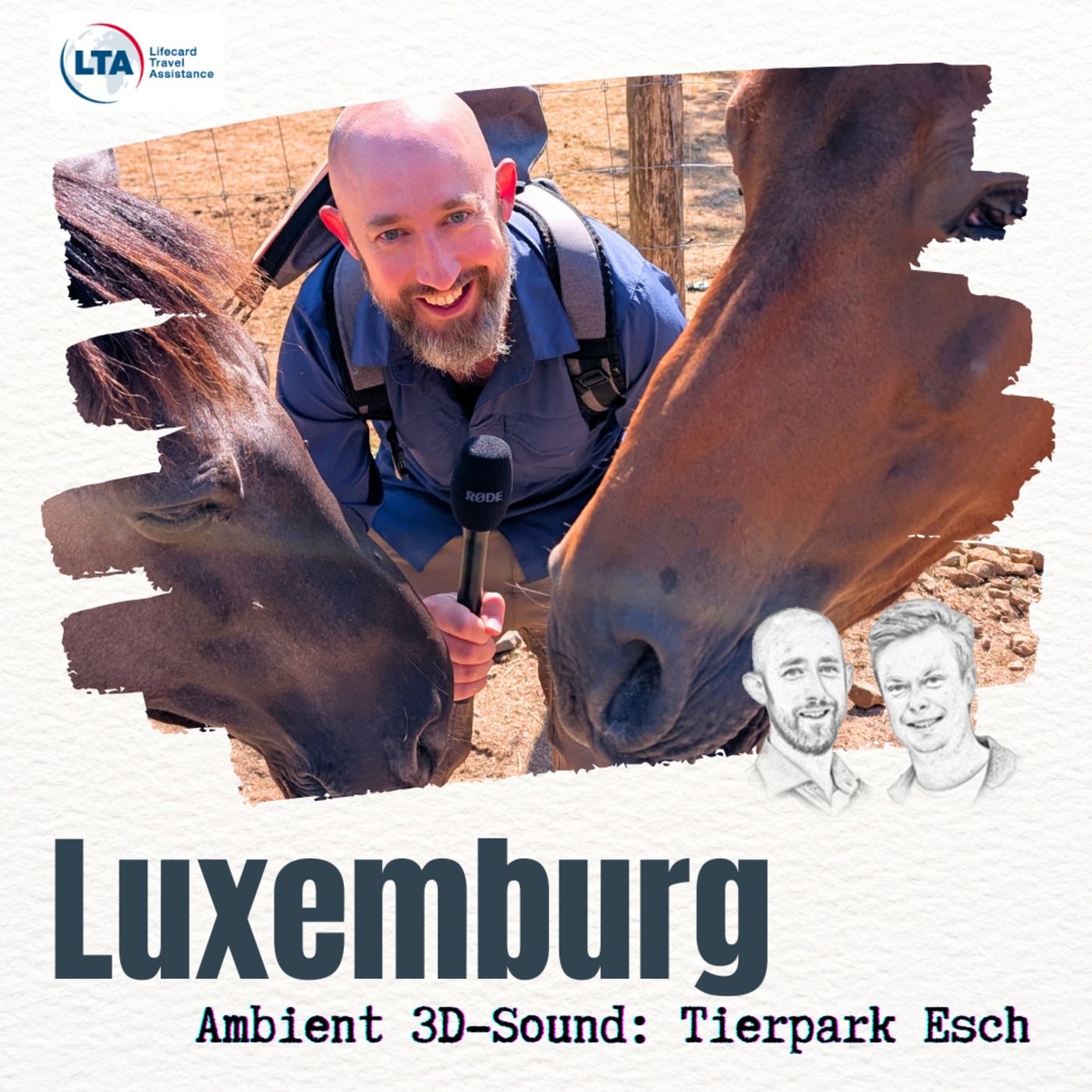 ASMR Esel und Pferde: Entspannen mit Tiergeräuschen aus Luxemburg