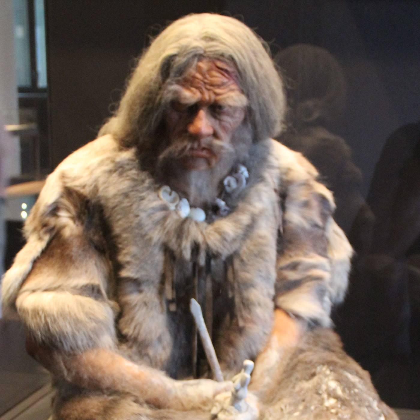 Y-042: Carl Vogt, Der Urmensch (1864)