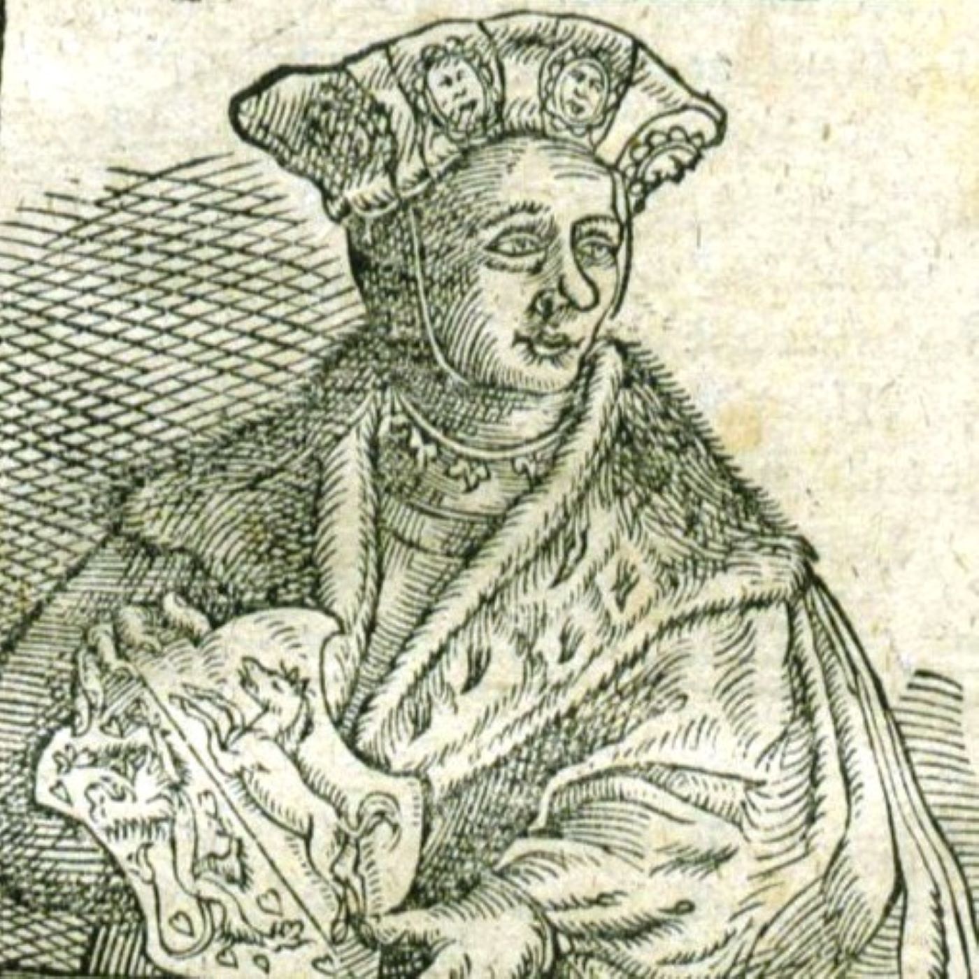 I-002: Die Neue Burg in Hamburg (ca. 1021 - ca. 1139), mit Kay-Peter Suchowa