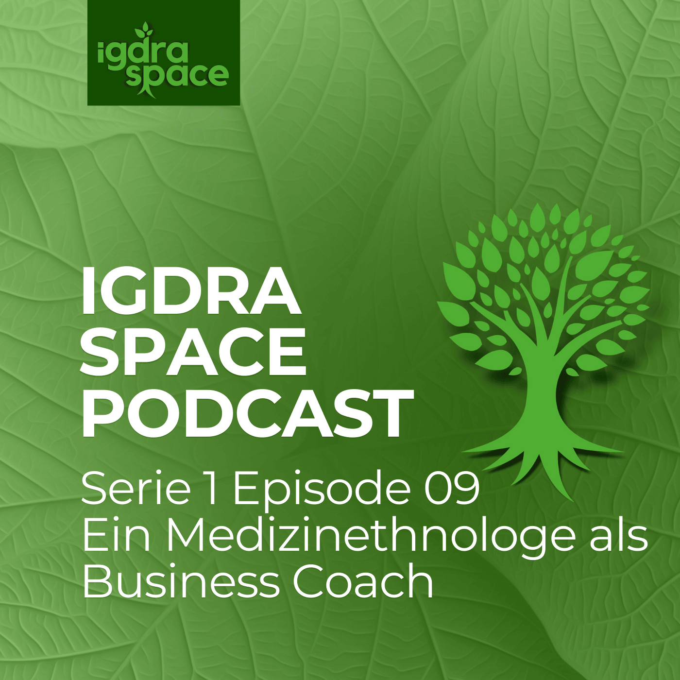 #09 Ein Medizinethnologie als Business Coach