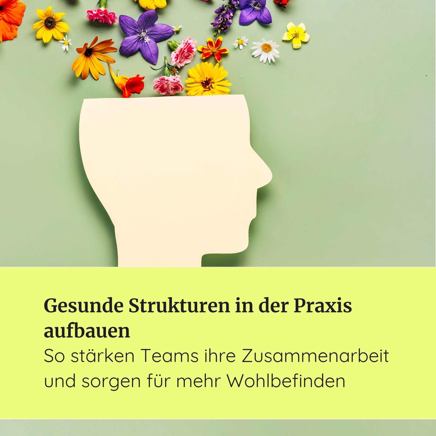 #25 Gesunde Strukturen in der Praxis aufbauen: So stärken Teams ihre Zusammenarbeit und sorgen für mehr Wohlbefinden