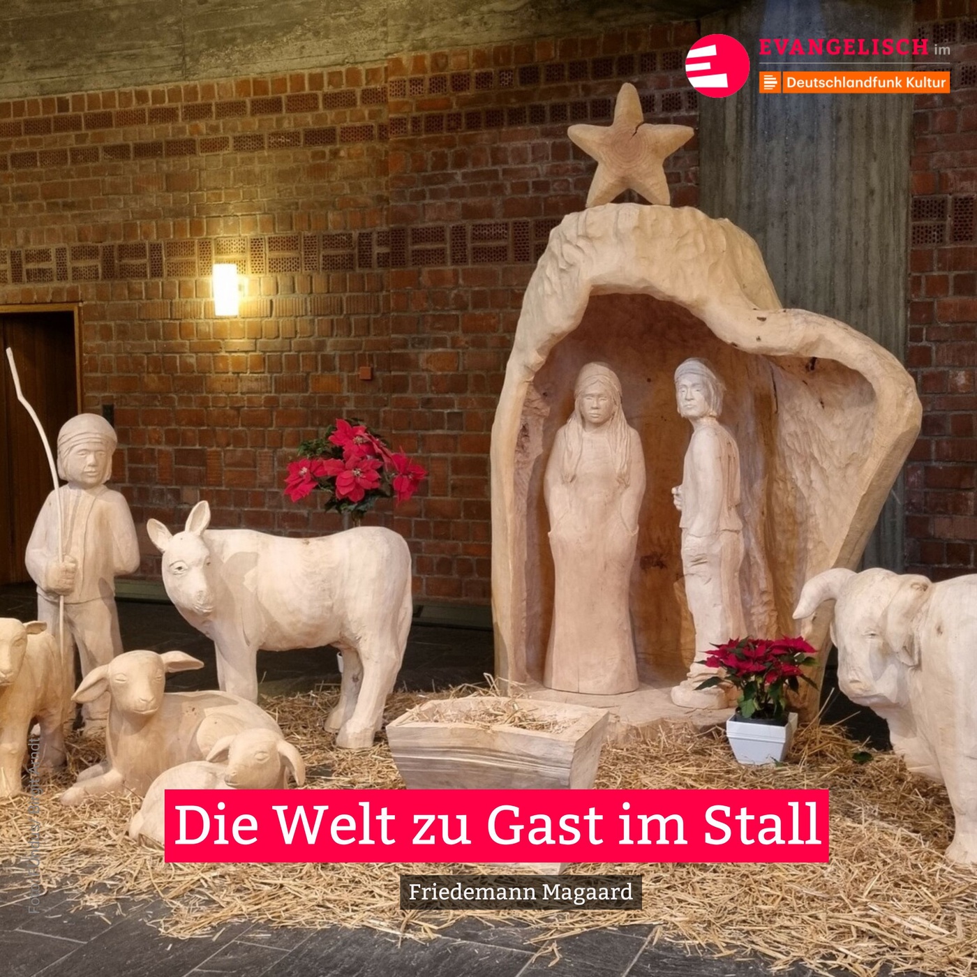 Die Welt zu Gast im Stall