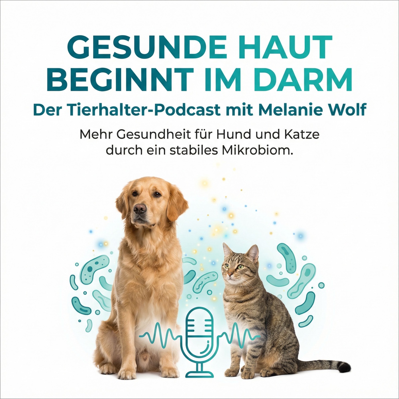 Lemons Geschichte: Wenn das Mikrobiom einen Hund zurück ins Leben holt
