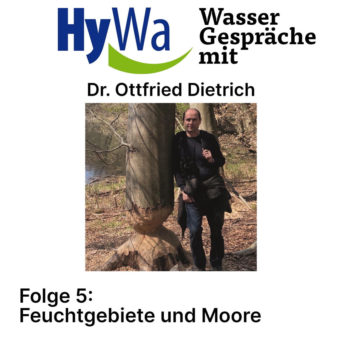 Feuchtgebiete und Moore