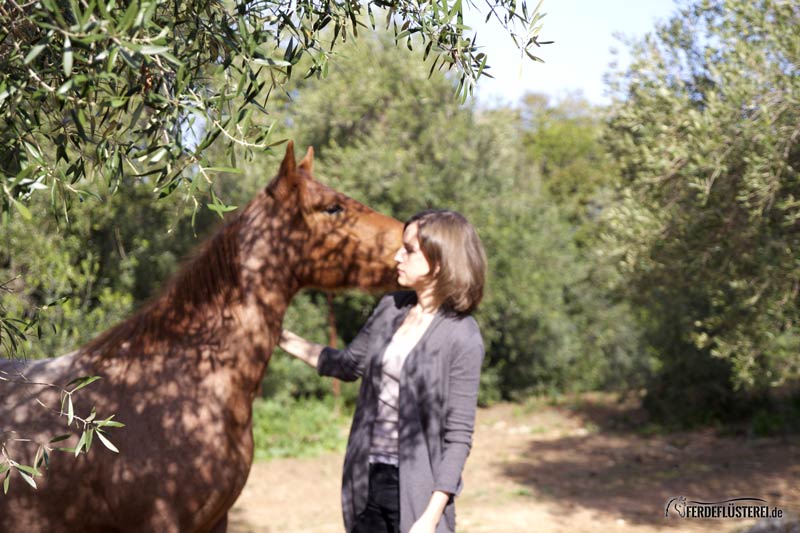 TALK: Was eine gute Beziehung mit dem Pferd ausmacht