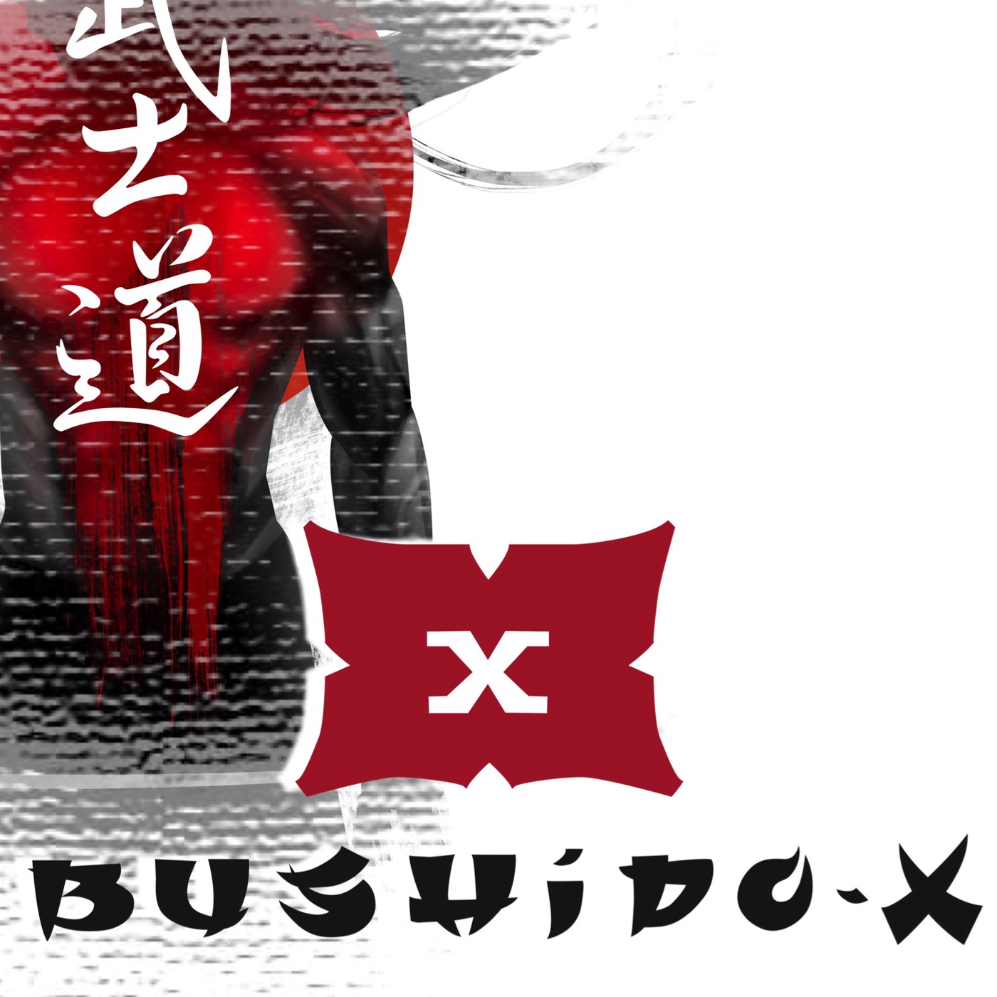 BushidoX - Der Kampfkunst Podcast