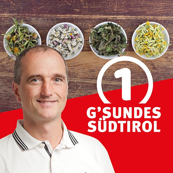 Wilde Kräuter und Blumen