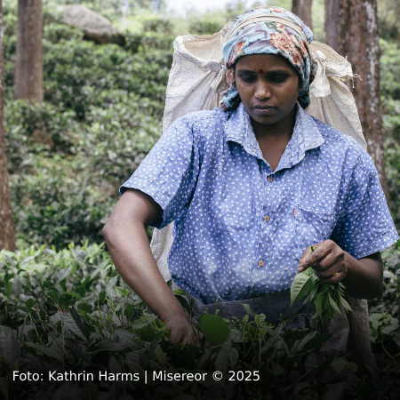 Misereor-Aktion zu Sri Lanka wird in Neu-Ulm eröffnet