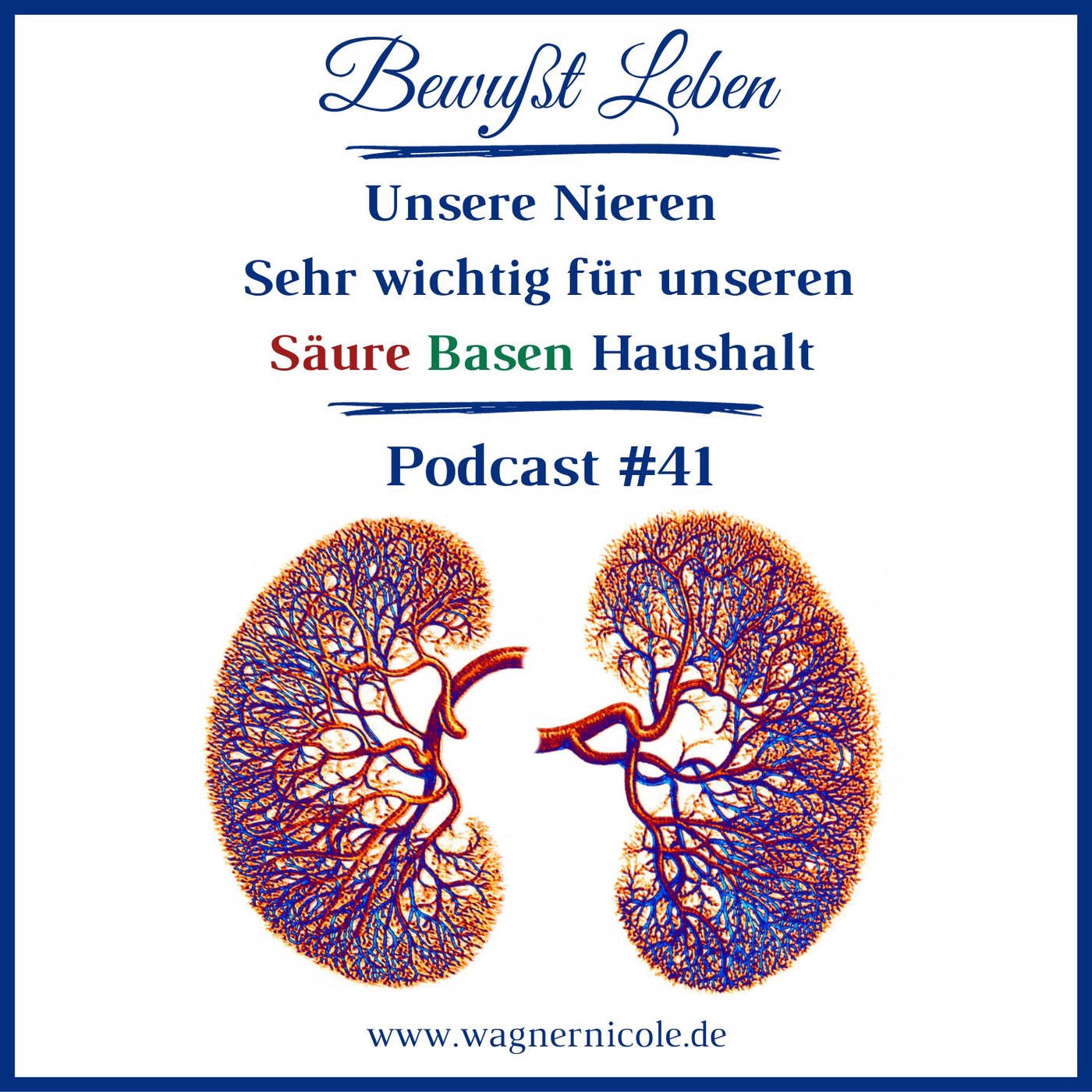Unsere Nieren I Sehr wichtig für unseren Säure Basen Haushalt I Podcast #41