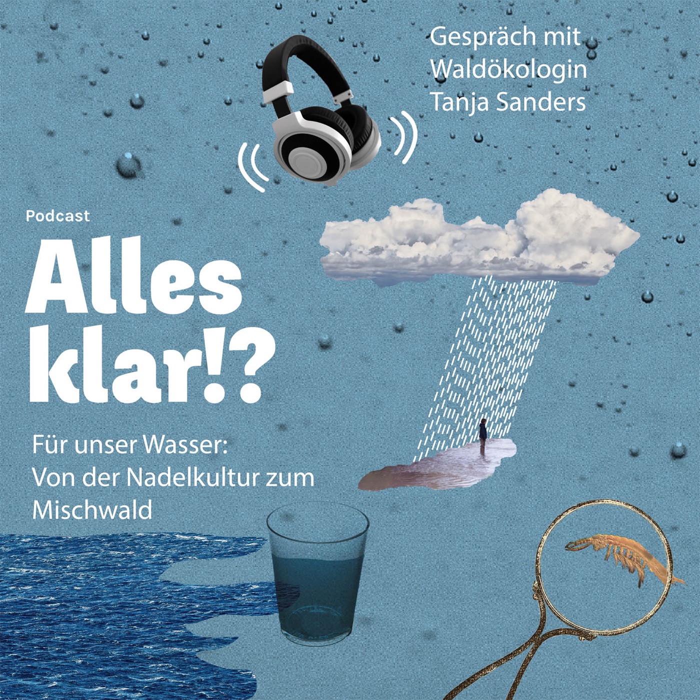 Für unser Wasser: Von der Nadelkultur zum Mischwald