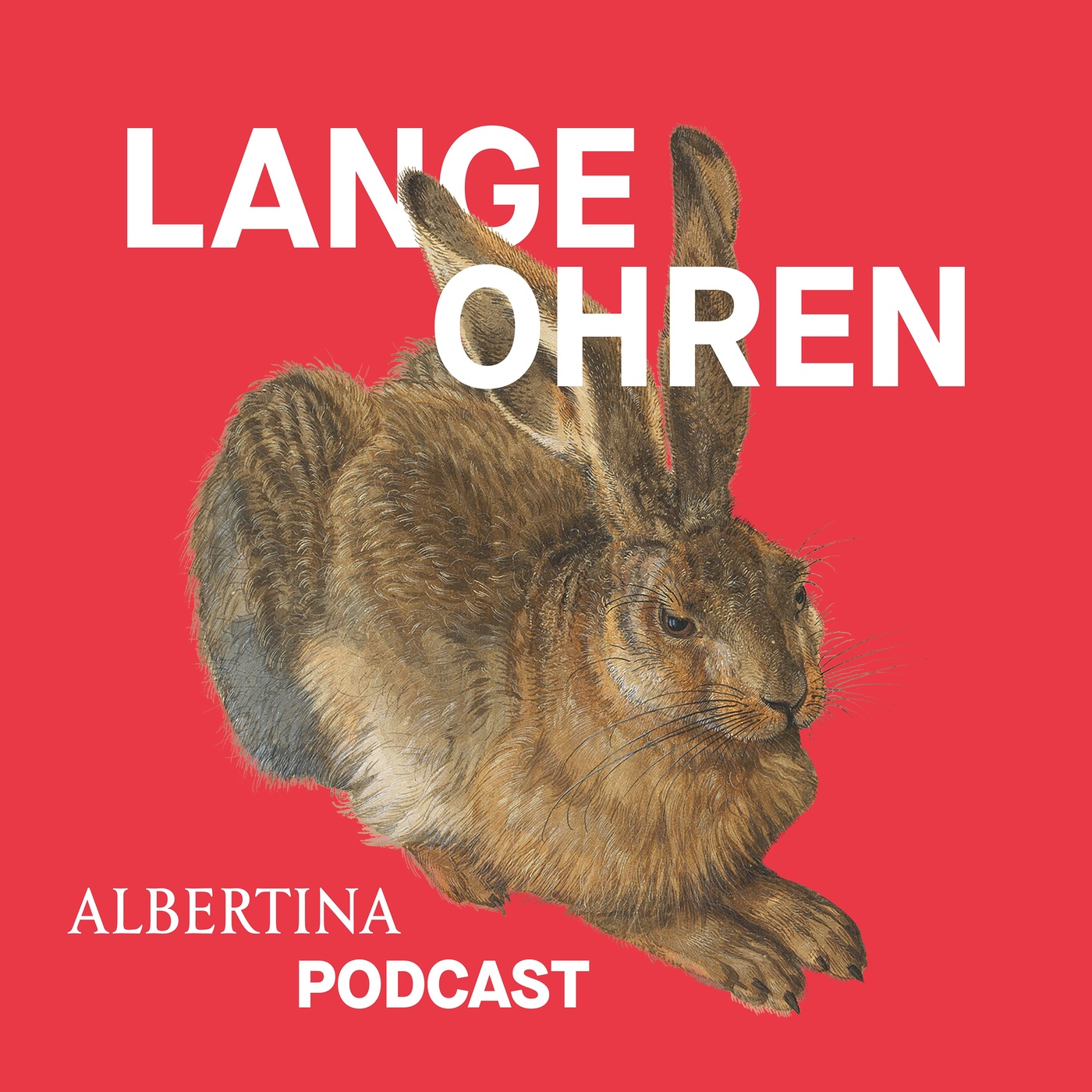 1 – Der Hase und der Hai