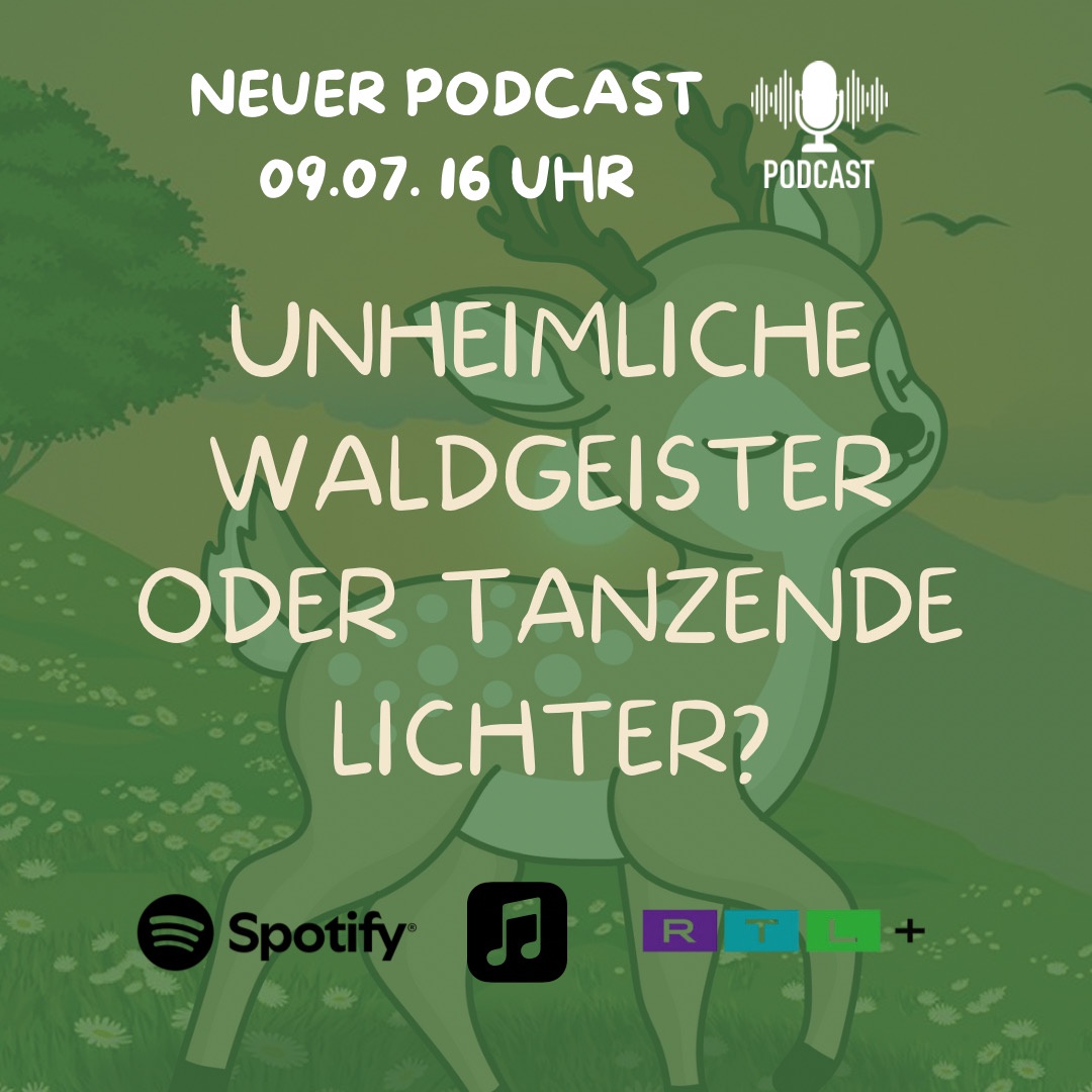 Die Sternenstaub-Freunde und die tanzenden Lichter