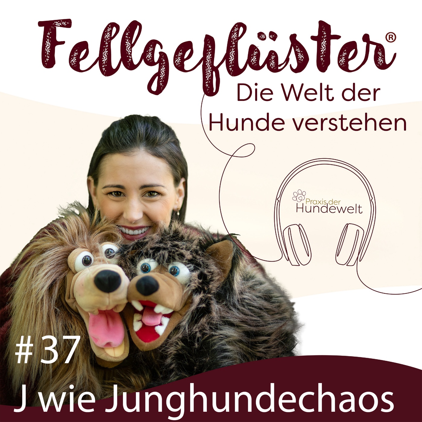 J wie Junghundechaos: Warum in der Pubertät plötzlich alles wieder von vorn beginnt