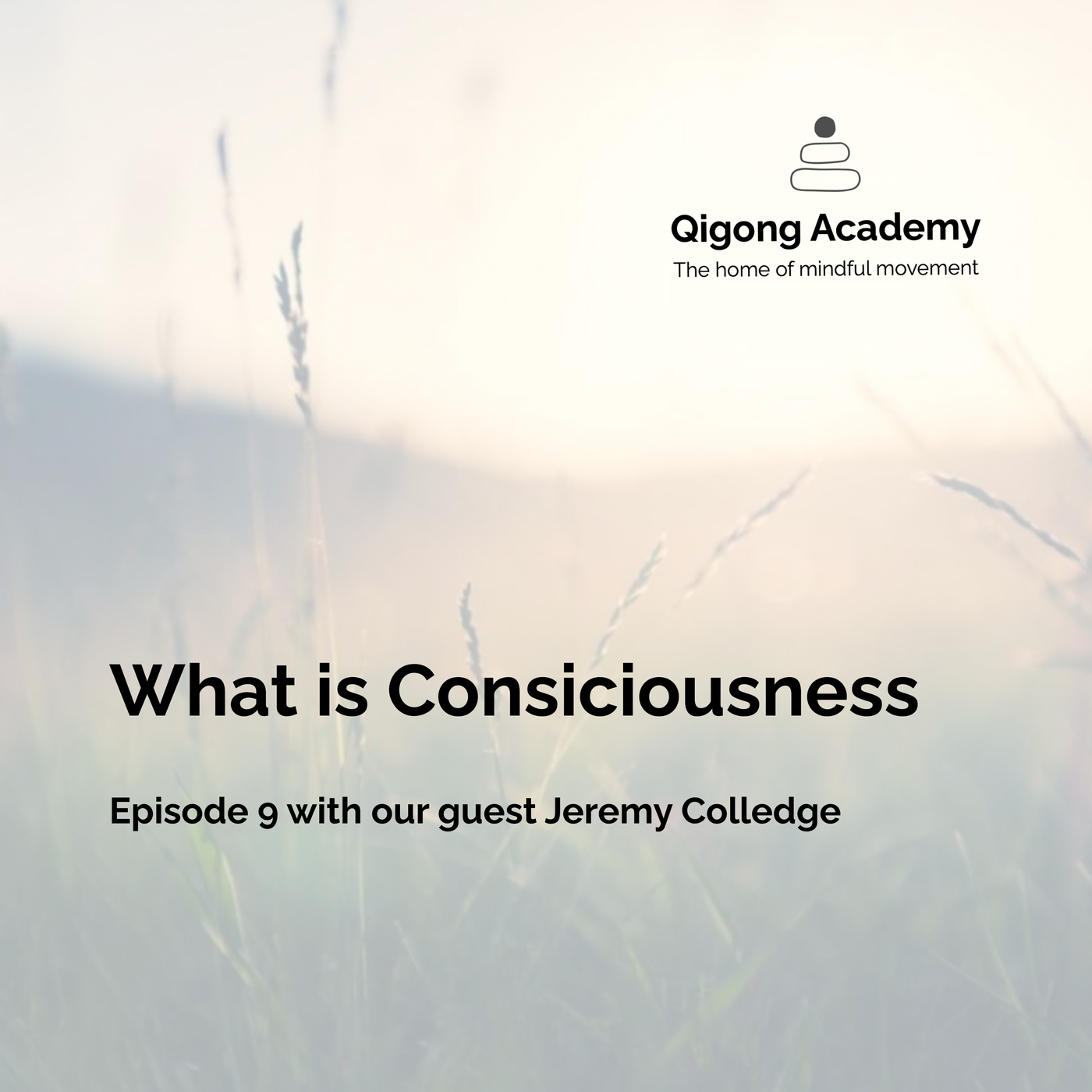 Episode 9 - What is Consiciousness