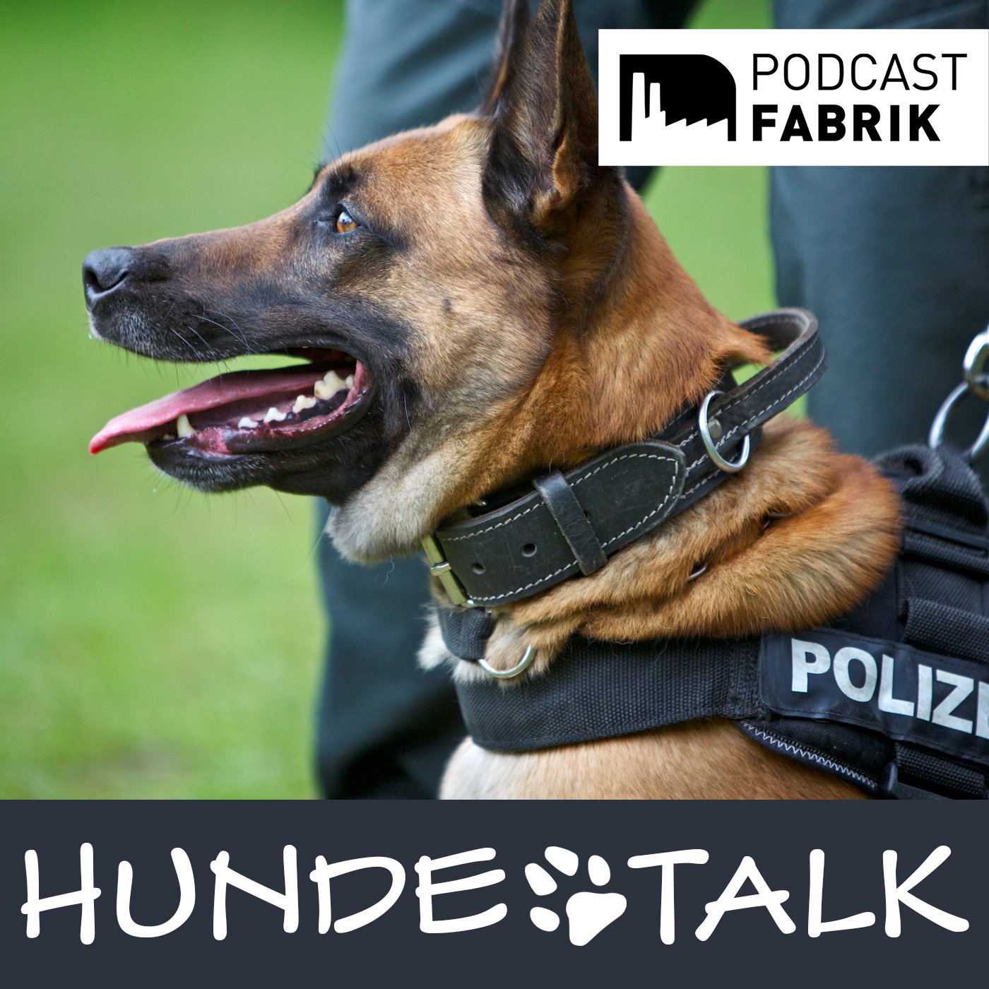 Die Ausbildung zum Polizeihund