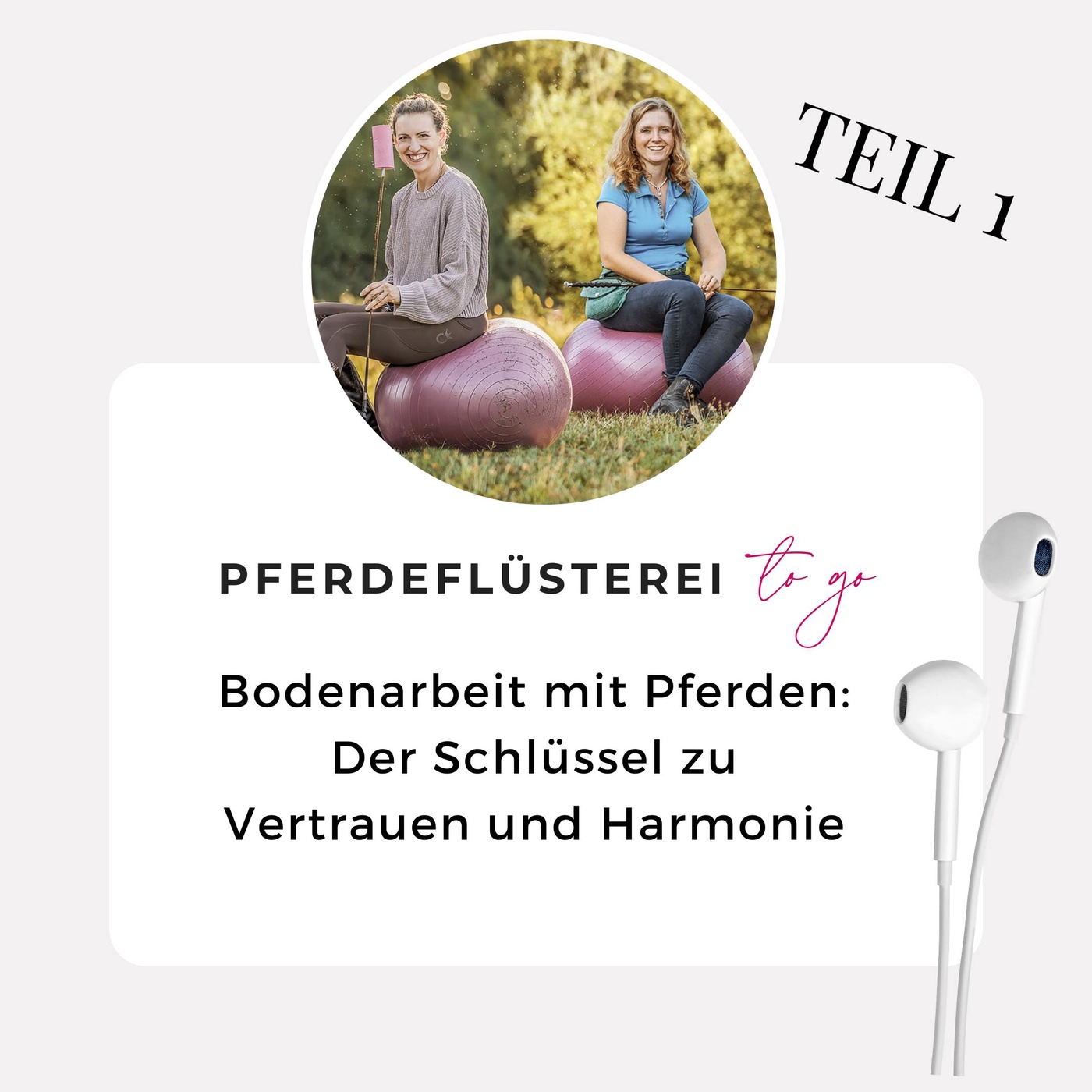 Bodenarbeit mit Pferden: Der Schlüssel zu Vertrauen und Harmonie