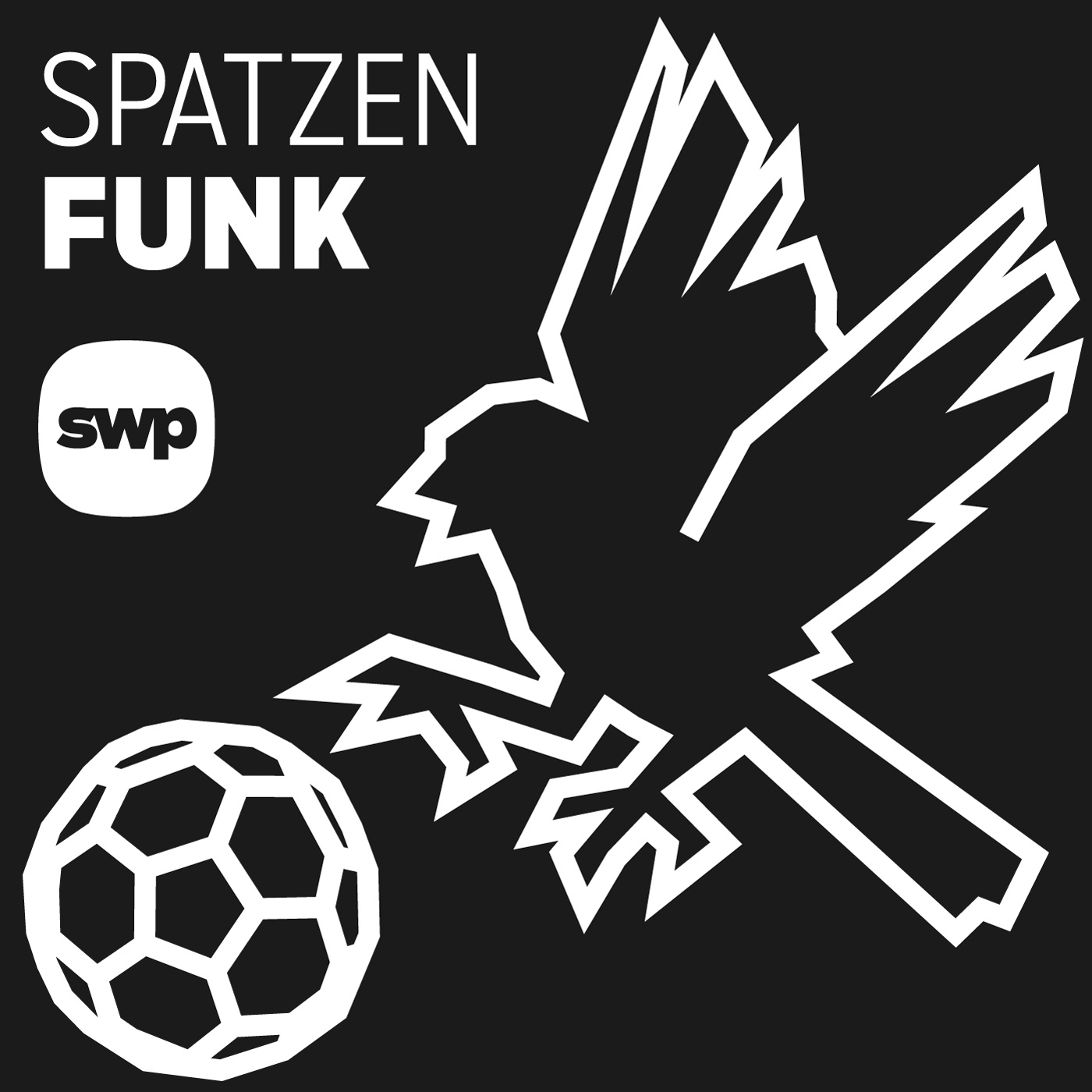 Spatzenfunk – Der Fußball-Podcast der Südwest Presse
