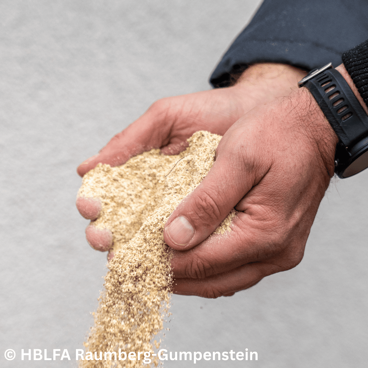 Folge 152: Weniger Eiweiß: Schweine- und Geflügelfütterung neu gedacht