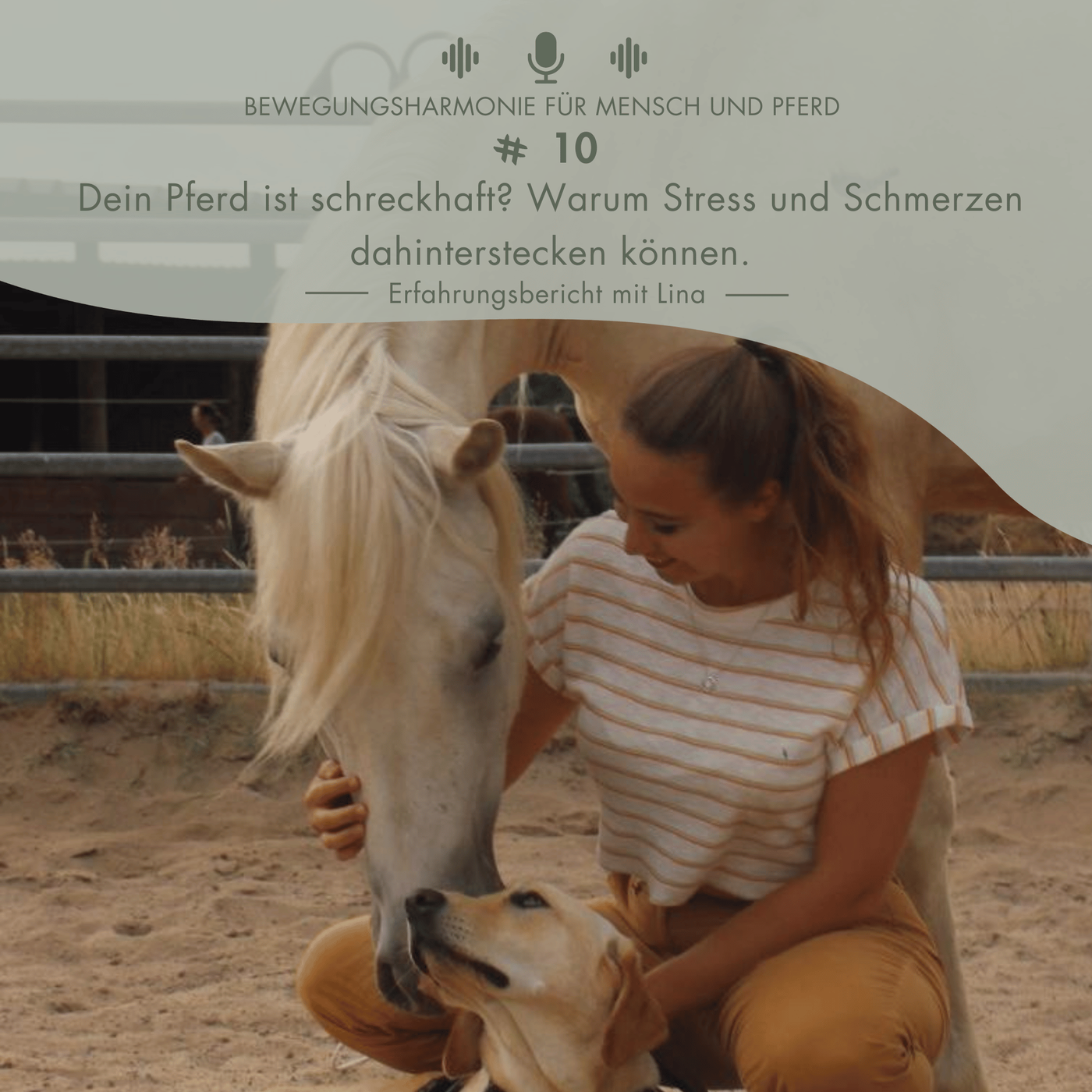 #10 Dein Pferd ist schreckhaft? Warum Stress und Schmerzen dahinterstecken können. Erfahrungsbericht mit Lina