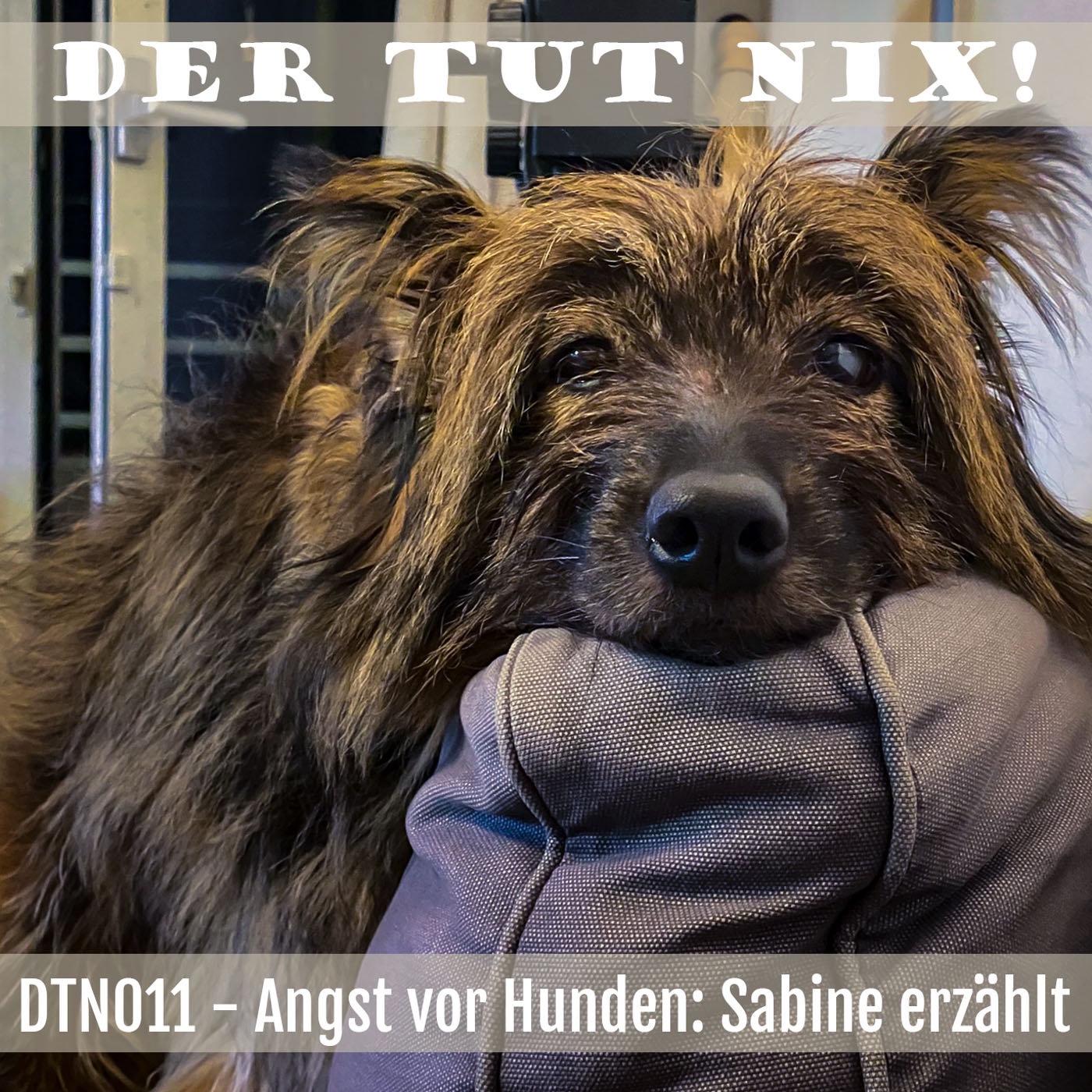 DTN011 - Angst vor Hunden