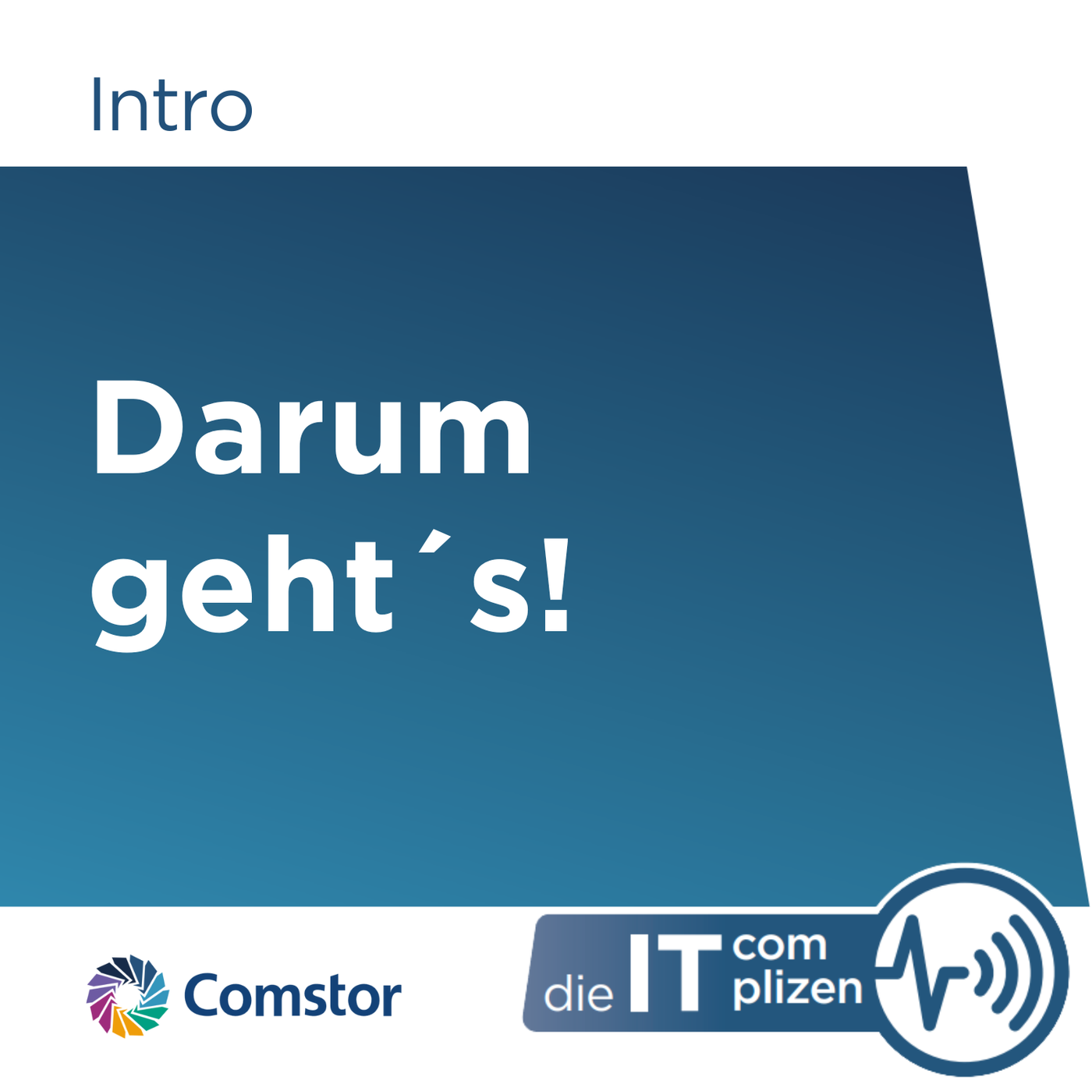 Die IT Complizen. Darum geht´s!