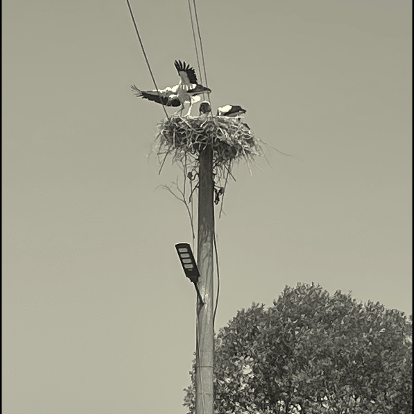 Empty Nest, New Me? - Wenn Kinder fliegen lernen