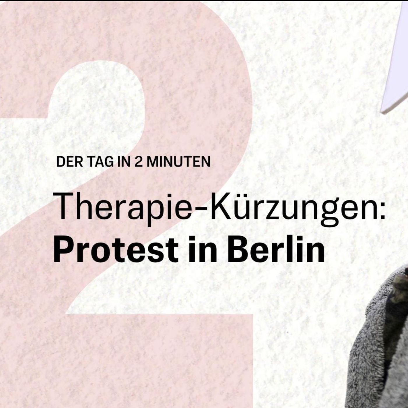 Protest vor Bundestag gegen Kürzungen bei Psychotherapeuten | Der Tag in 2 Minuten