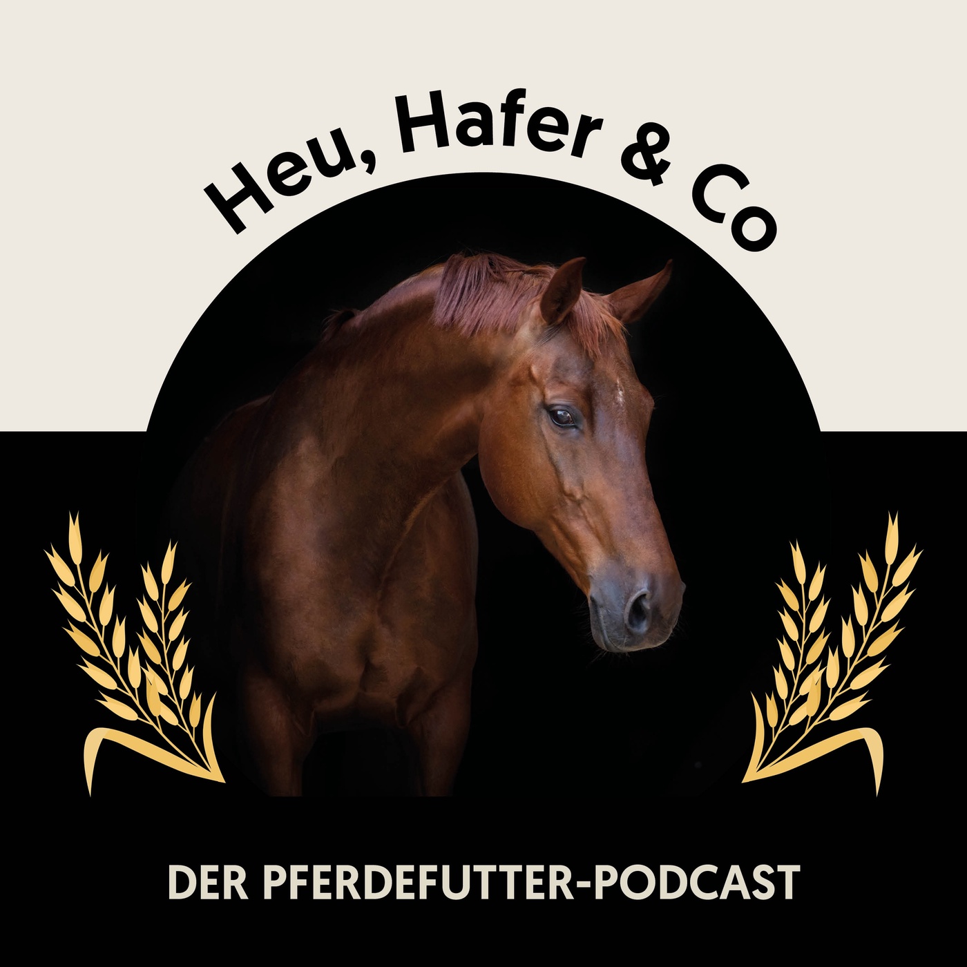 Heu, Hafer & Co: Der Pferdefutter-Podcast