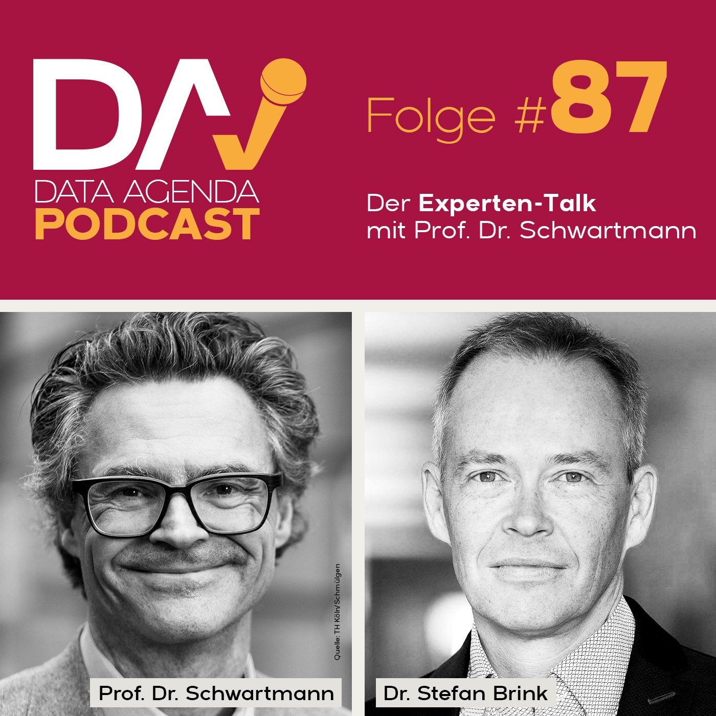 Folge 87: Reformbedarf bei der DS-GVO: Eine Parallelspur für den Digitalomnibus