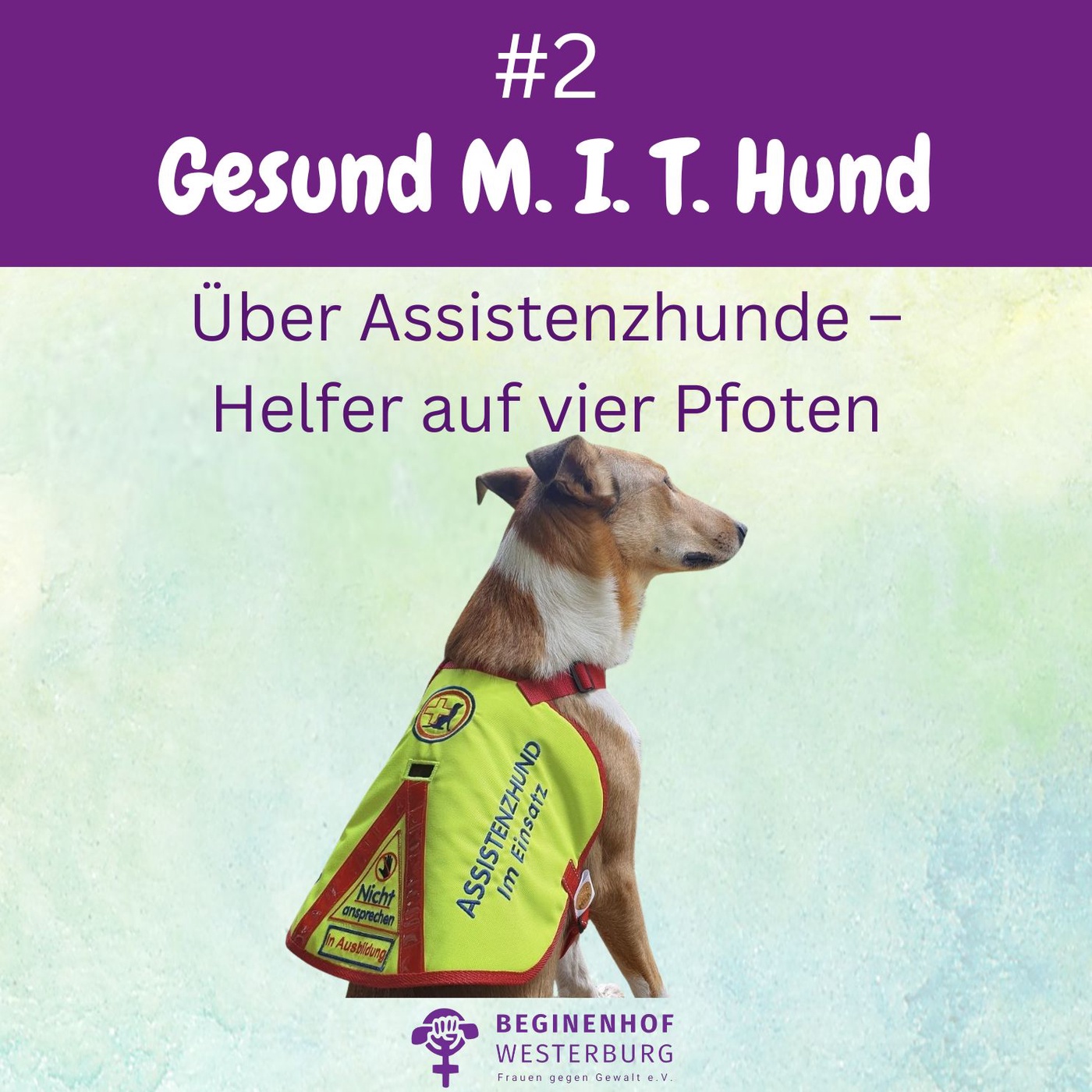 #2 Gesund MIT Hund - Assistenzhunde