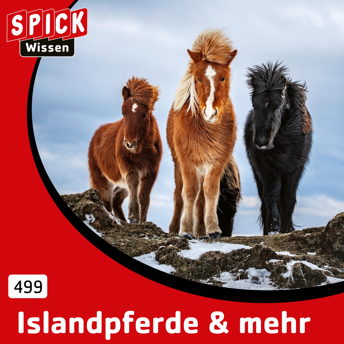 Ilsandpferden & mehr