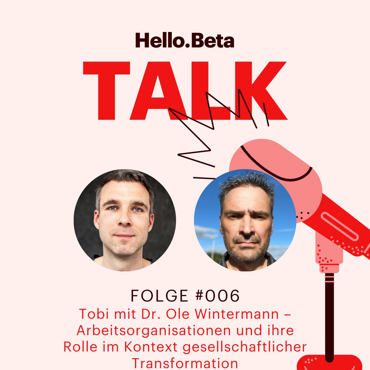 #006 - Arbeitsorganisationen und ihre Rolle im Kontext gesellschaftlicher Transformation
