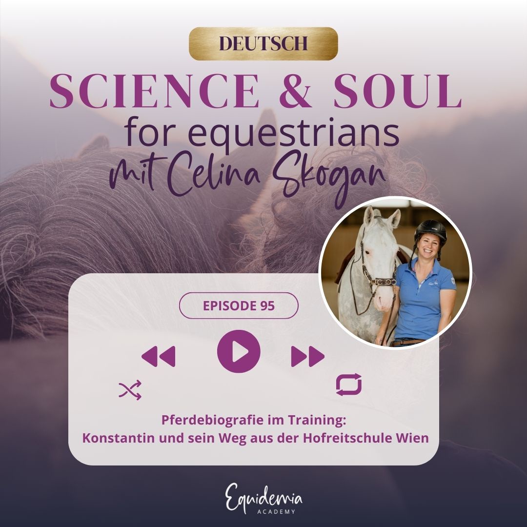 Pferdebiografie im Training: Konstantin und sein Weg aus der Hofreitschule Wien