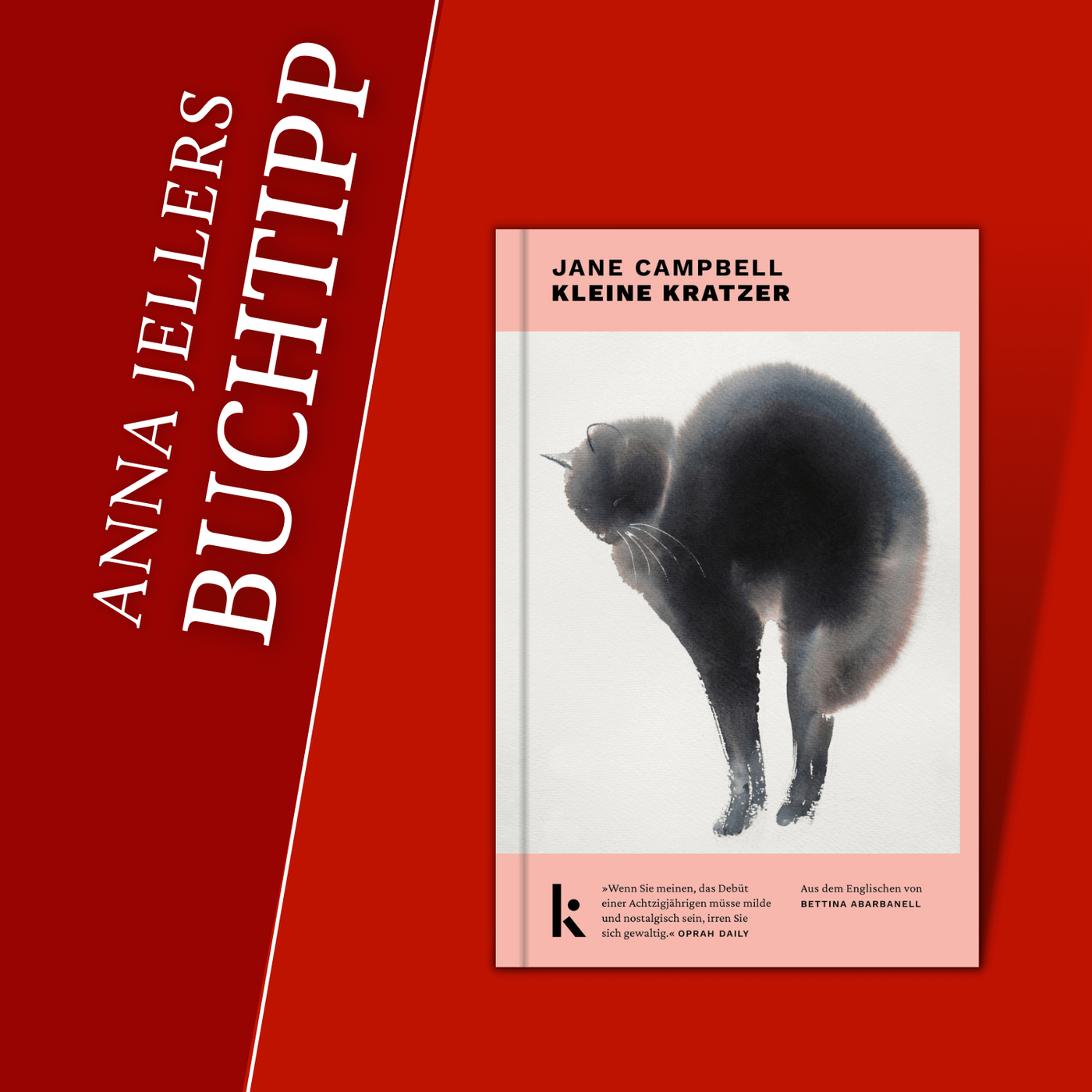 Anna Jellers Buchtipp | Jane Campbell: Kleine Kratzer