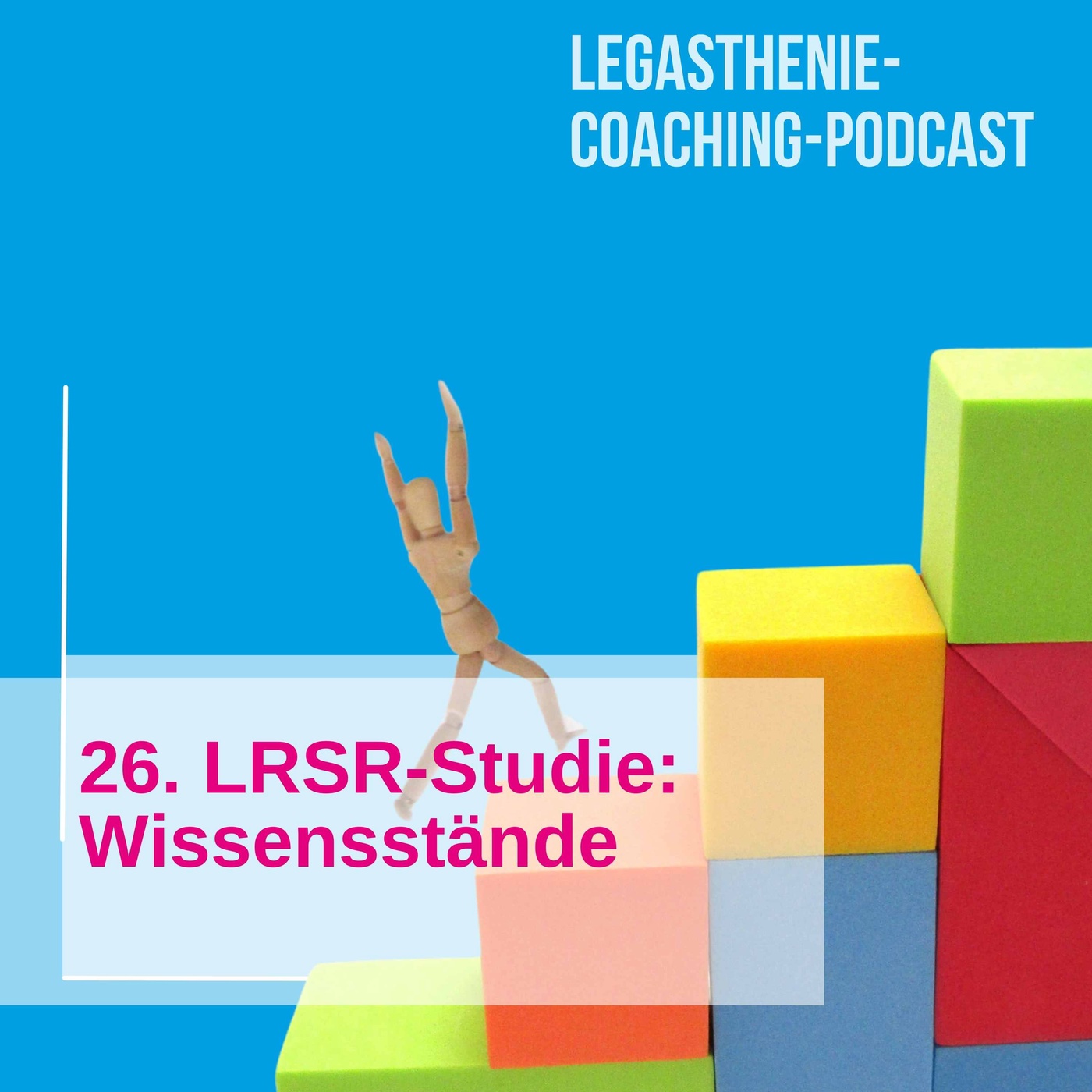 26. LRSR-Studie: Wissensstände 