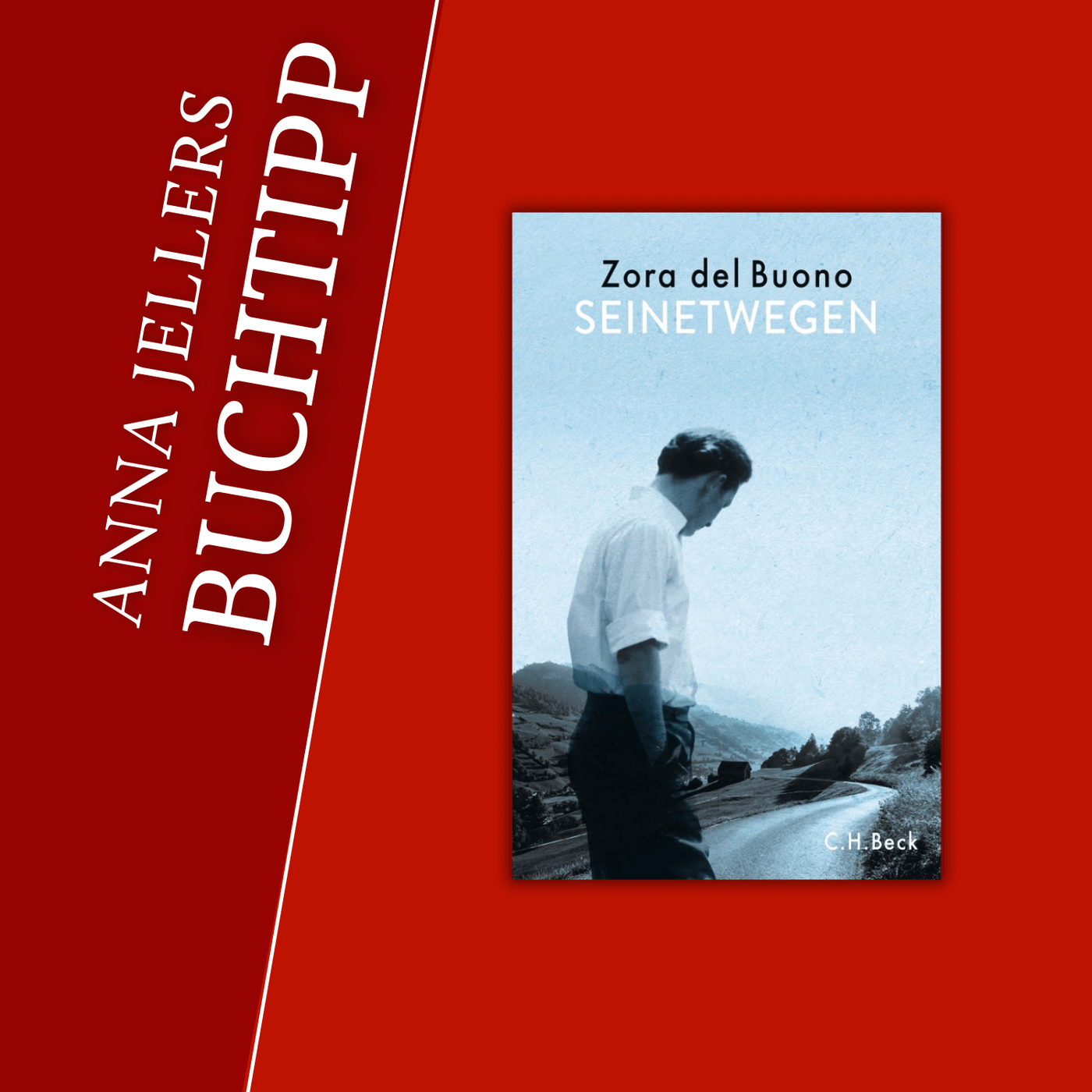 Anna Jellers Buchtipp | Zora del Buono: Seinetwegen