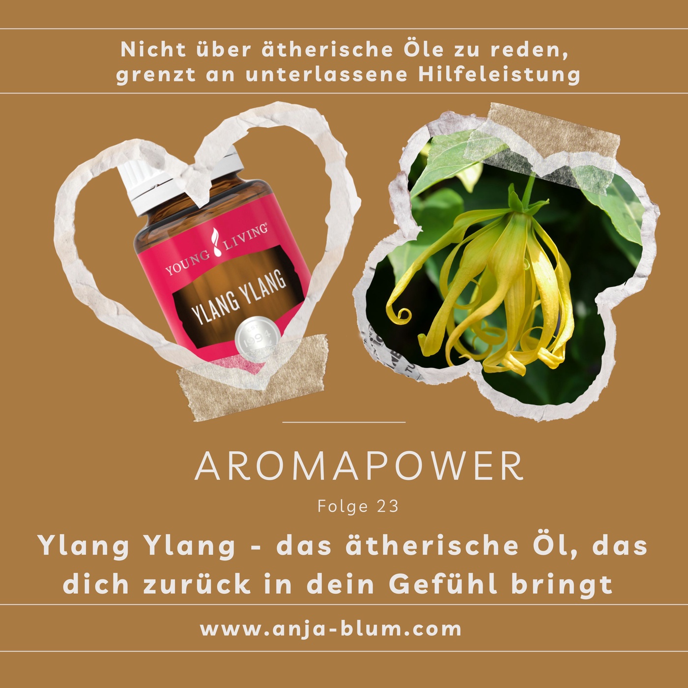 Ylang Ylang