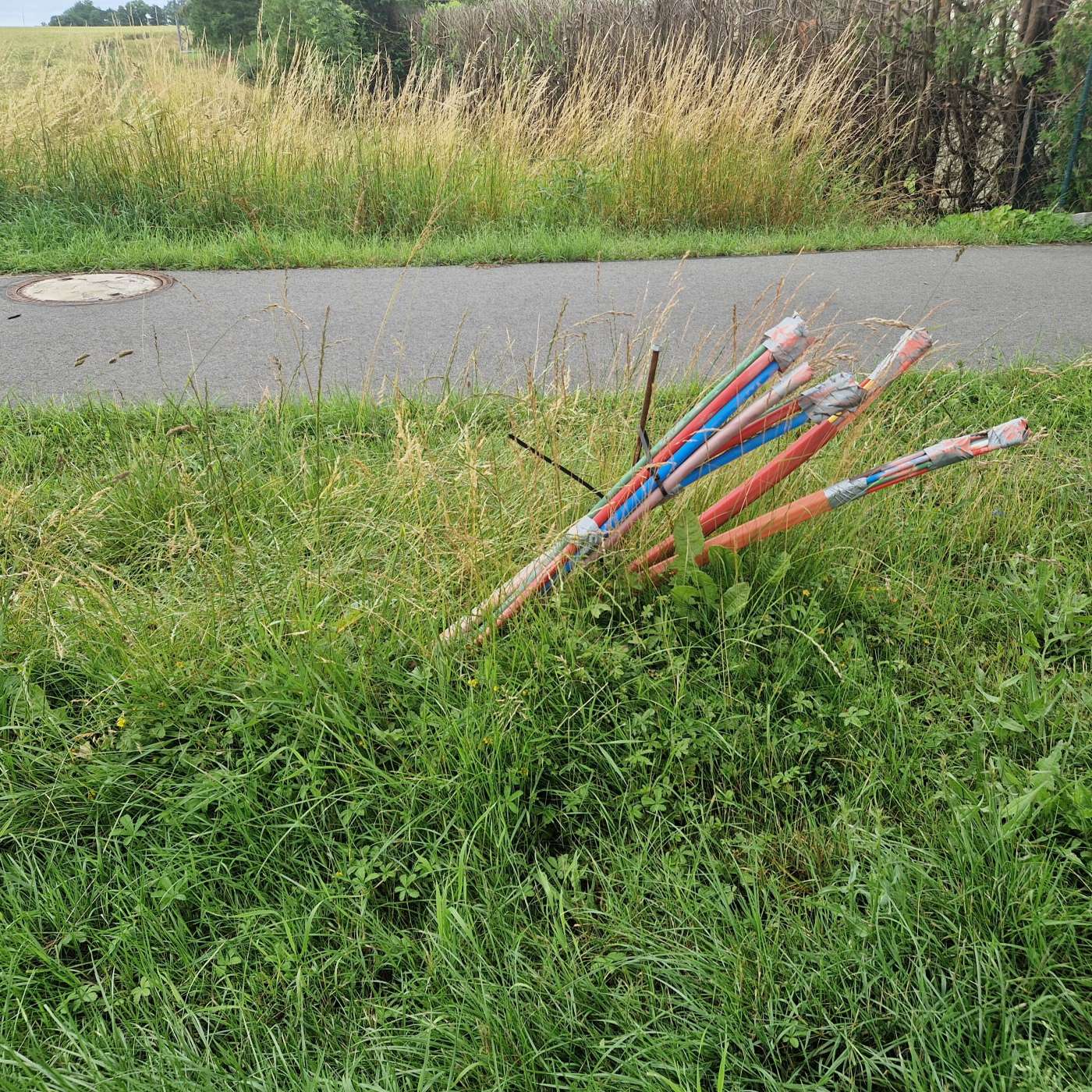 A-053: Neuland?! Vom Land zur Stadt zurück zum Land, mit Prof. Dr. Gerd Zimmermann [Weimarer Rendez-vous]