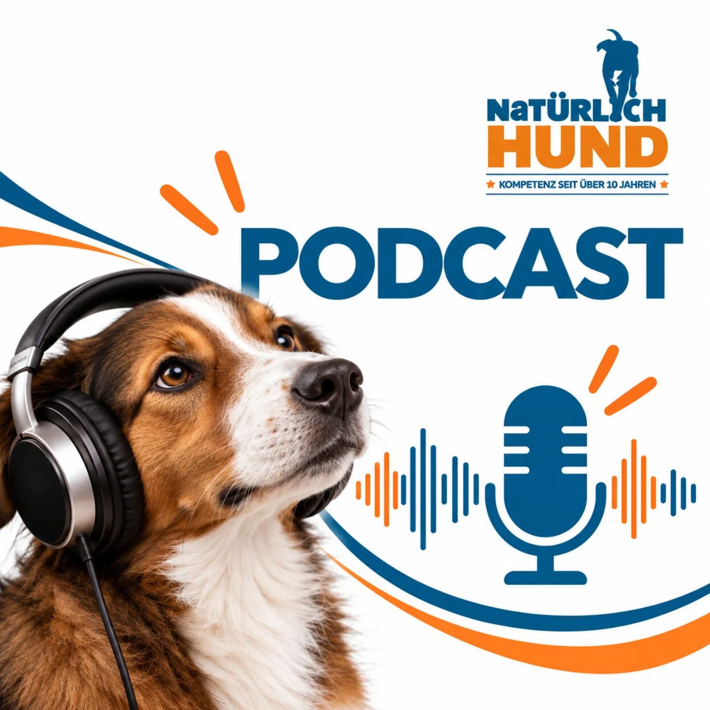 Gleichgewicht, Koordination, Gesundheit – HundeBalance im Fokus #22