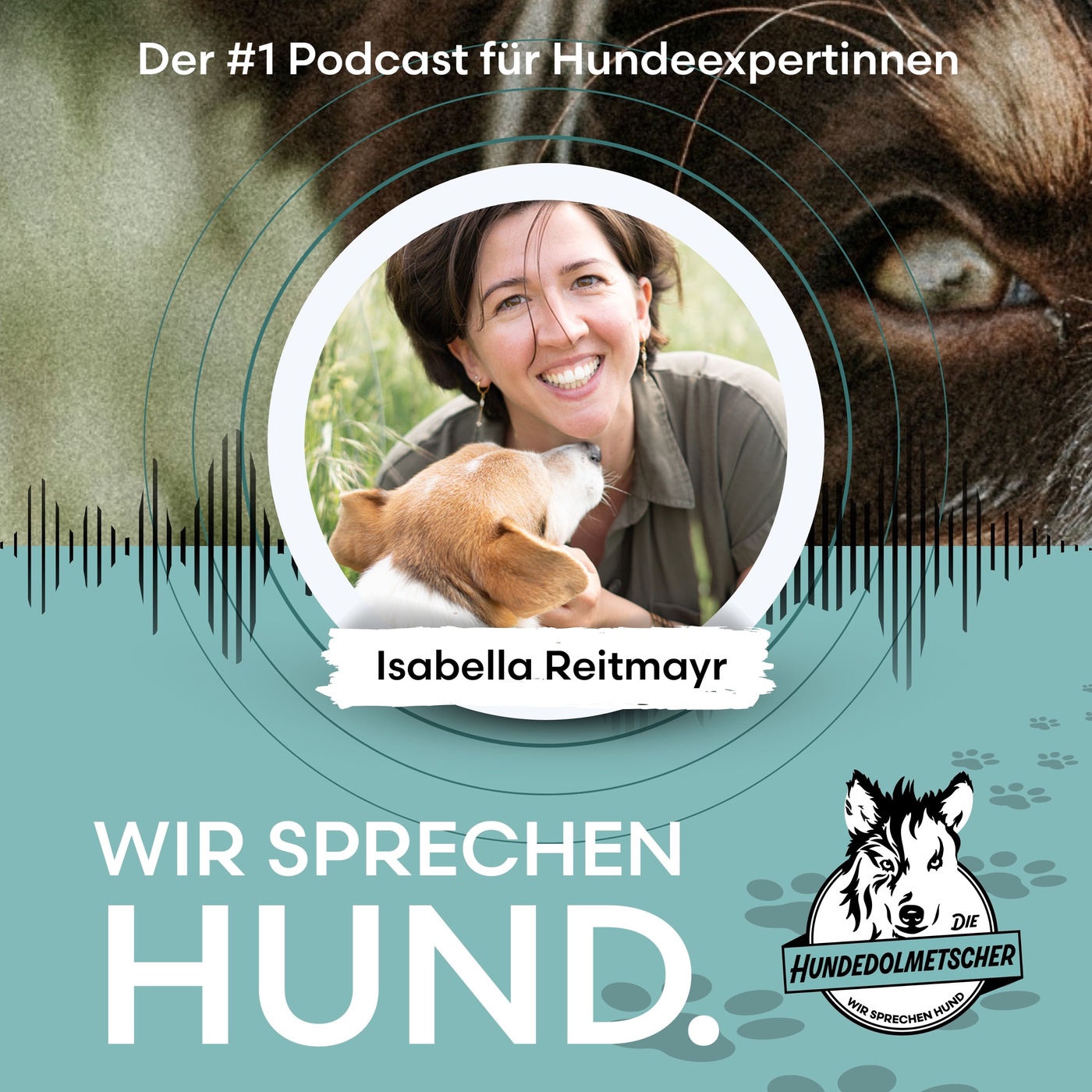 Vollzeit im Hundeberuf