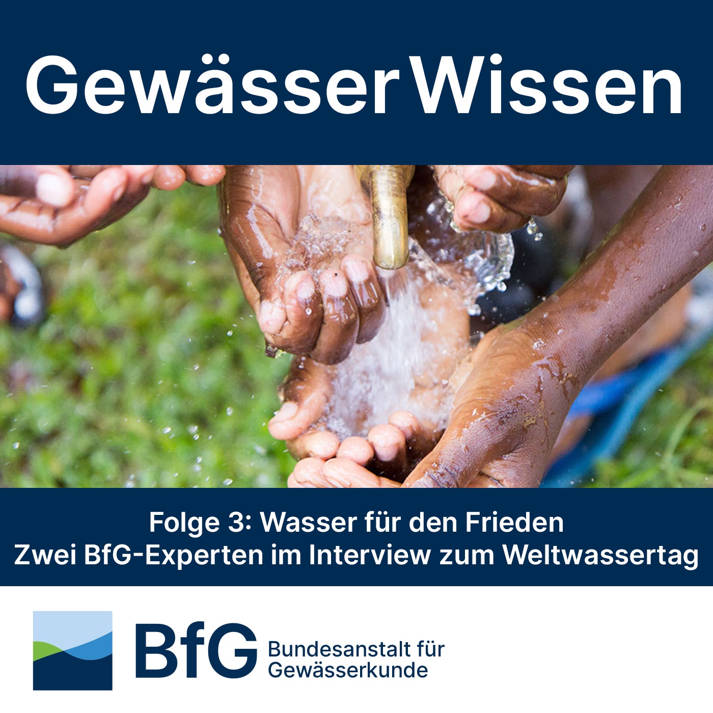 Wasser für den Frieden