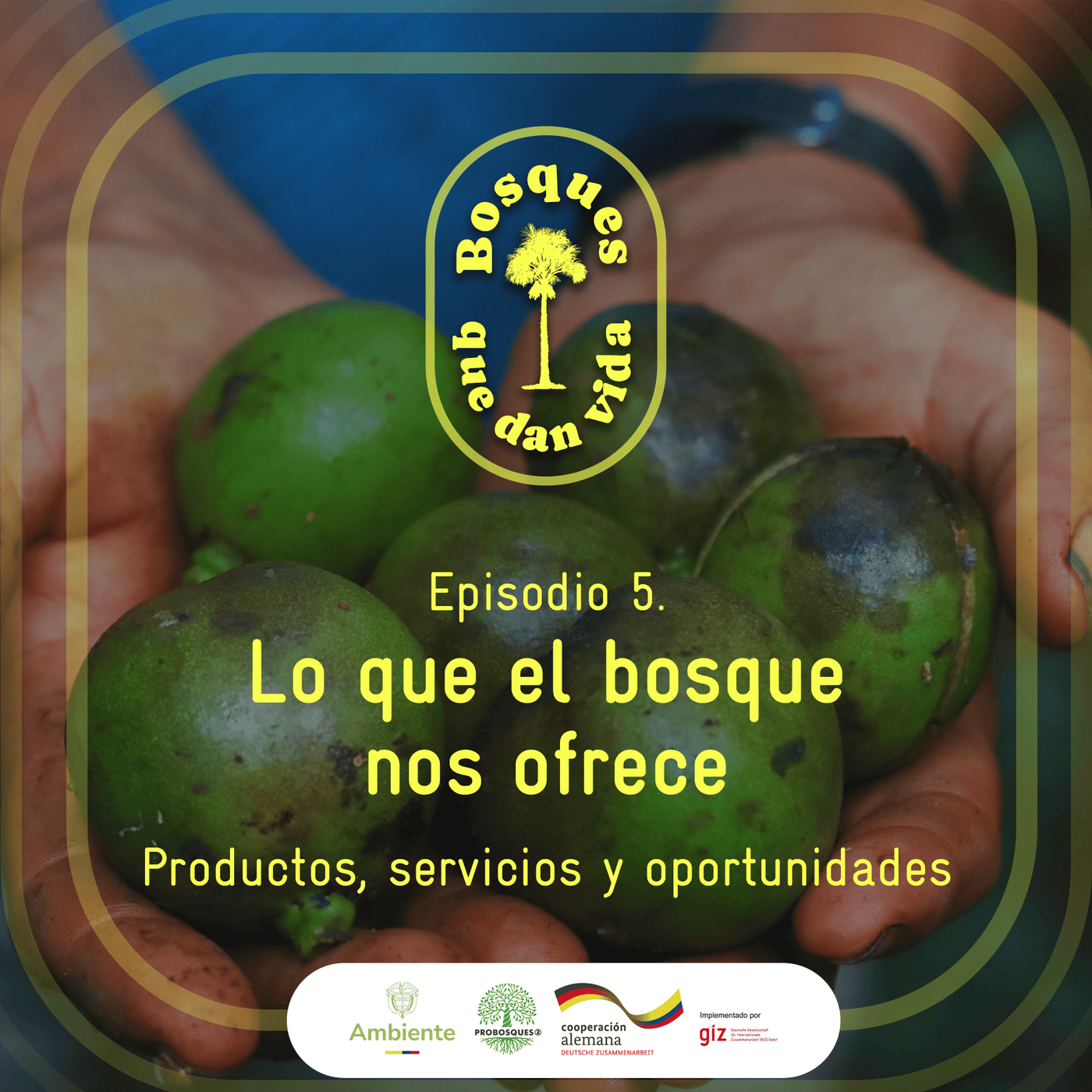 LO QUE EL BOSQUE NOS OFRECE