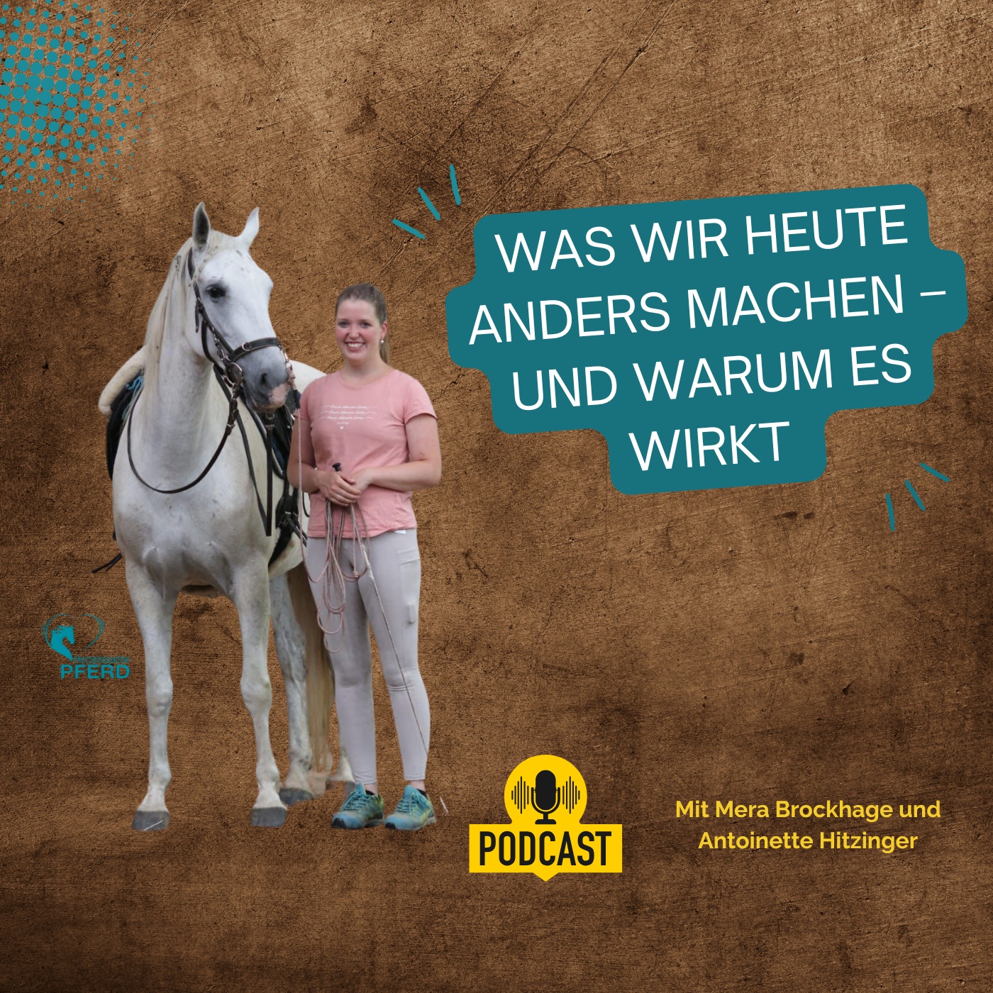 Was wir heute anders machen – und warum das für dein Pferd alles verändert