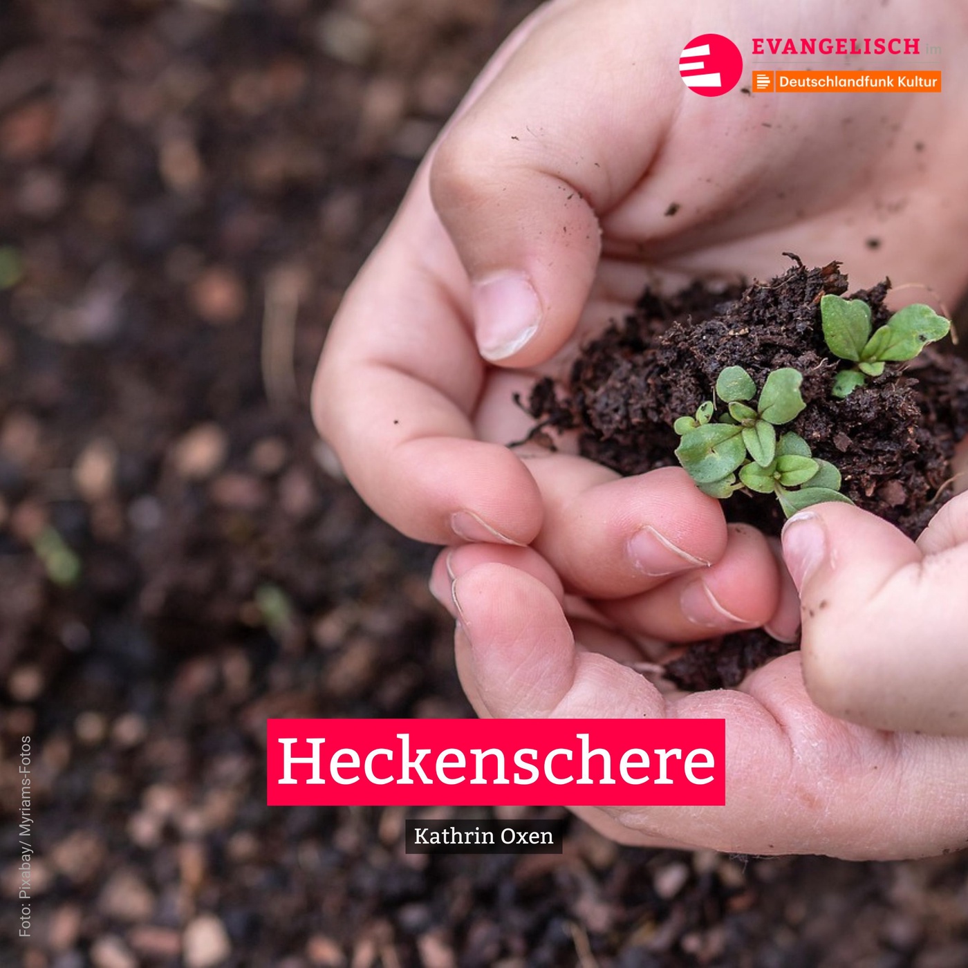 Heckenschere