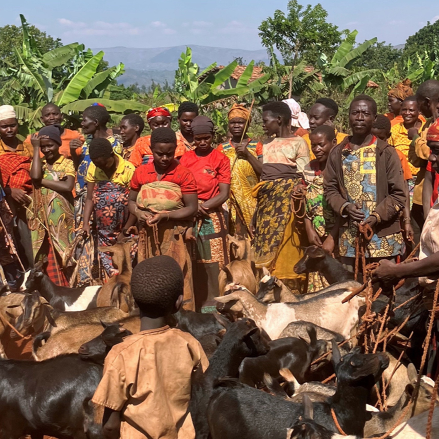 Perspektiven: Meine Ziege lebt in Burundi