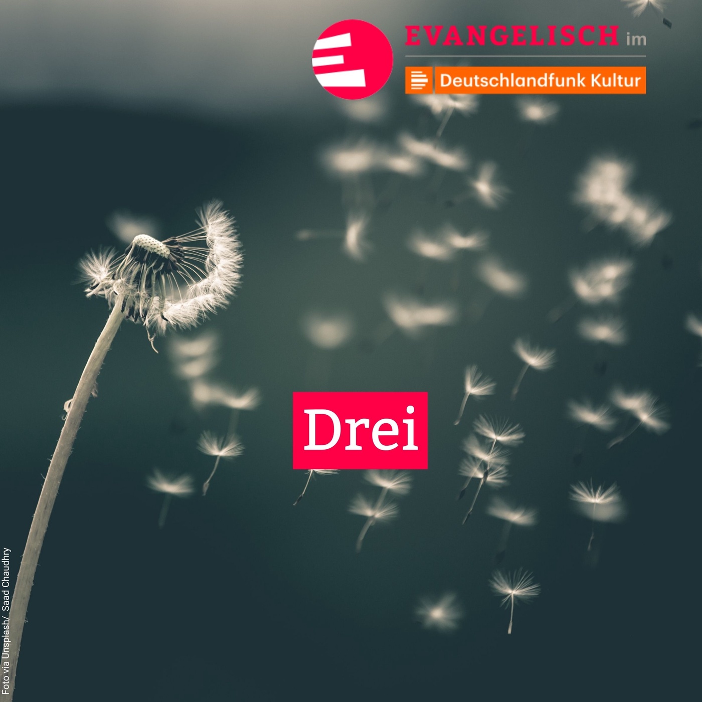 Drei