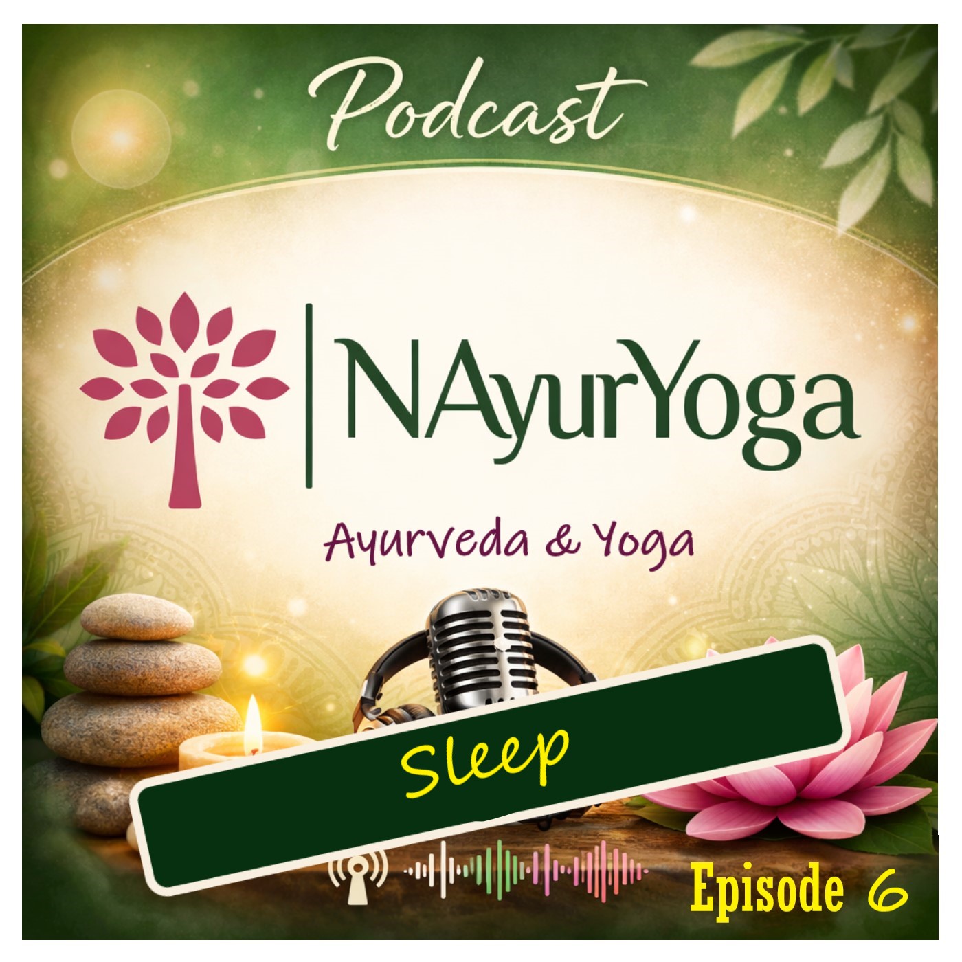 Episode 6 Sleep in an Overstimulated World