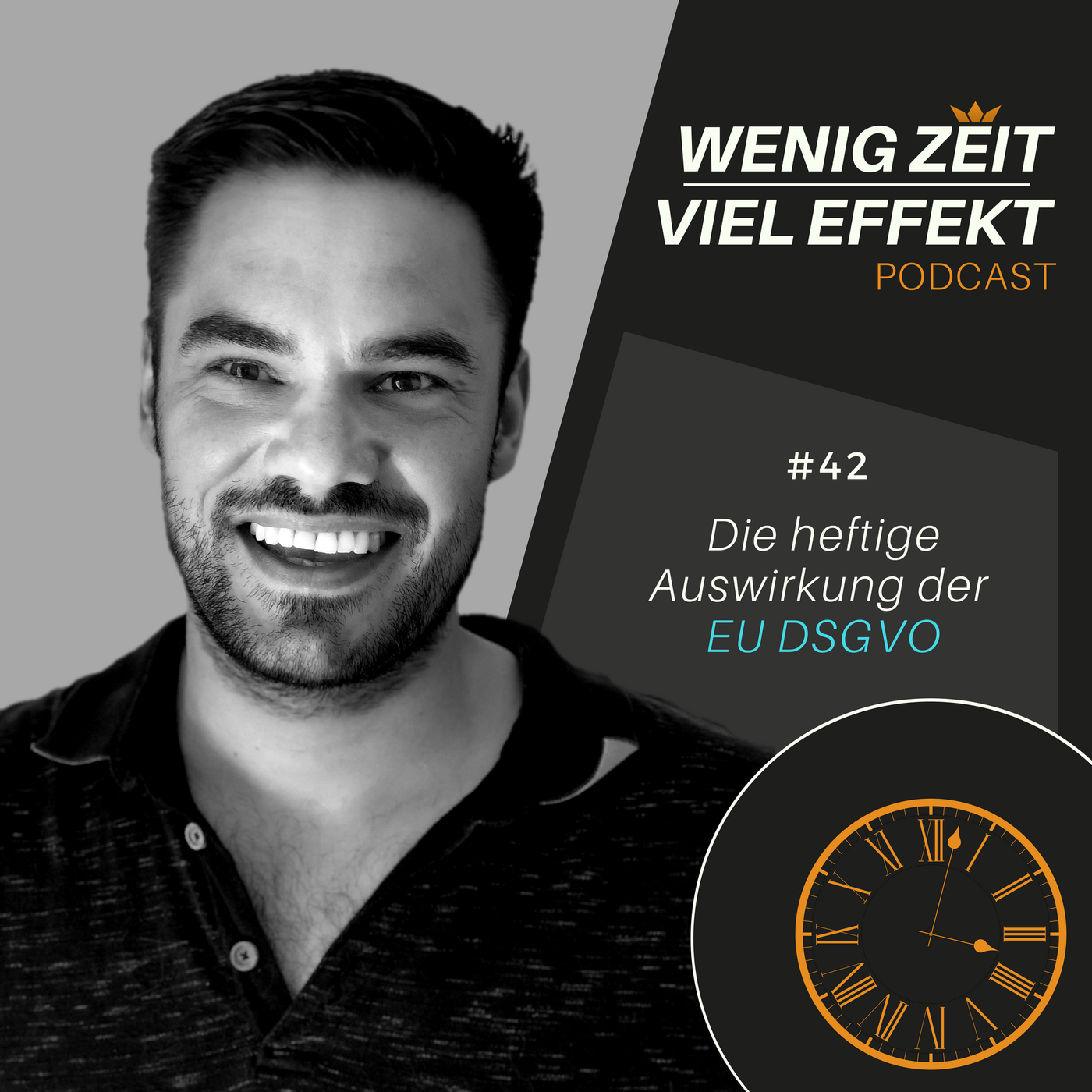 Die heftige Auswirkung der EU DSGVO | WZVE Podcast #42