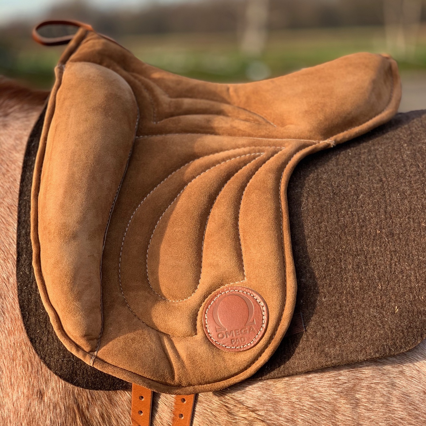 Wie gefährlich ist Reiten wirklich?