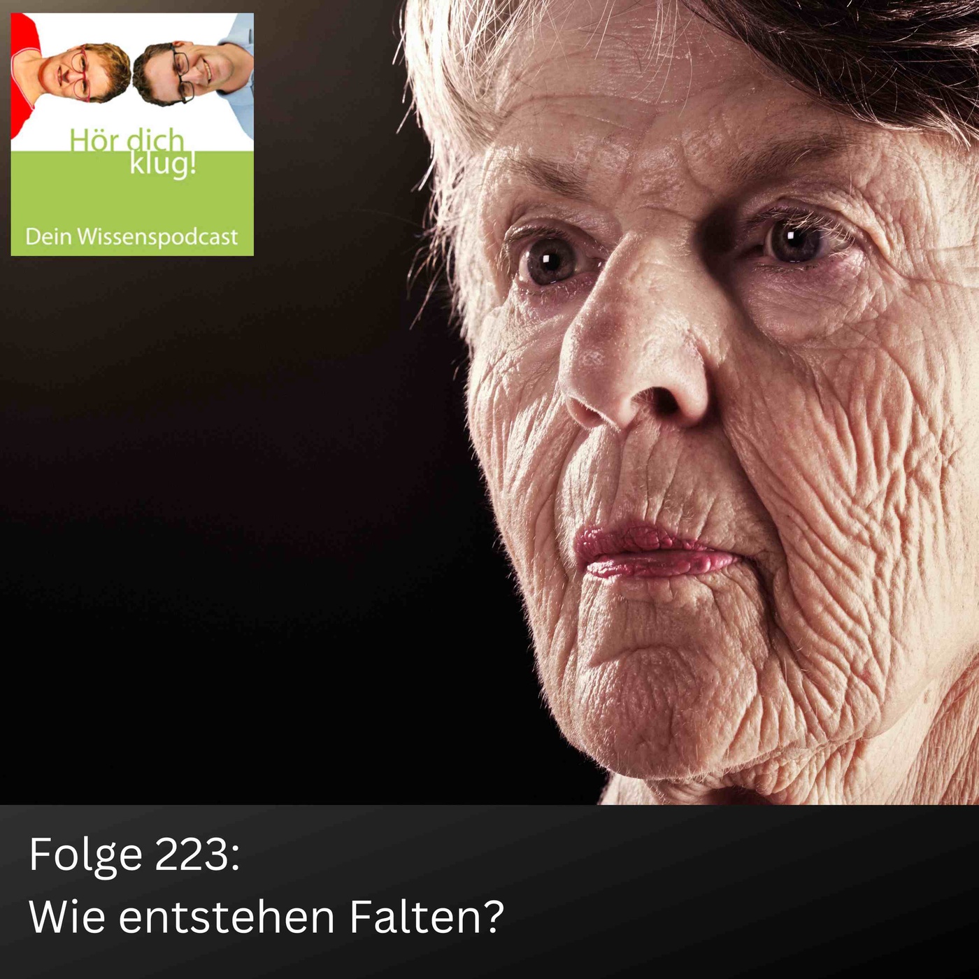 Wie entstehen Falten?